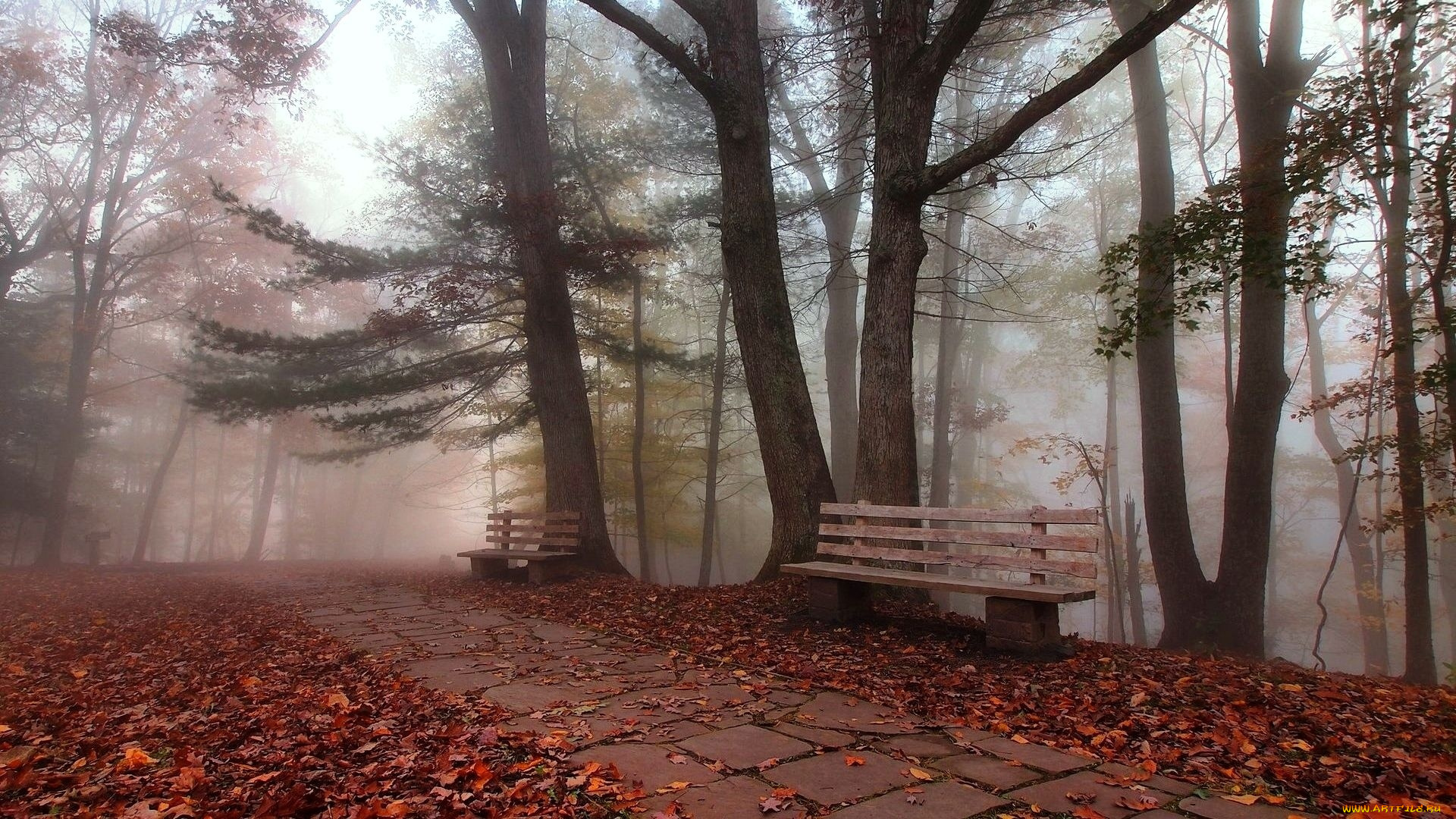 природа, парк, паркскамейки