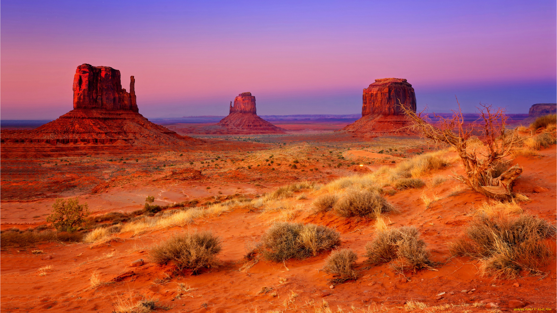 природа, пустыни, простор