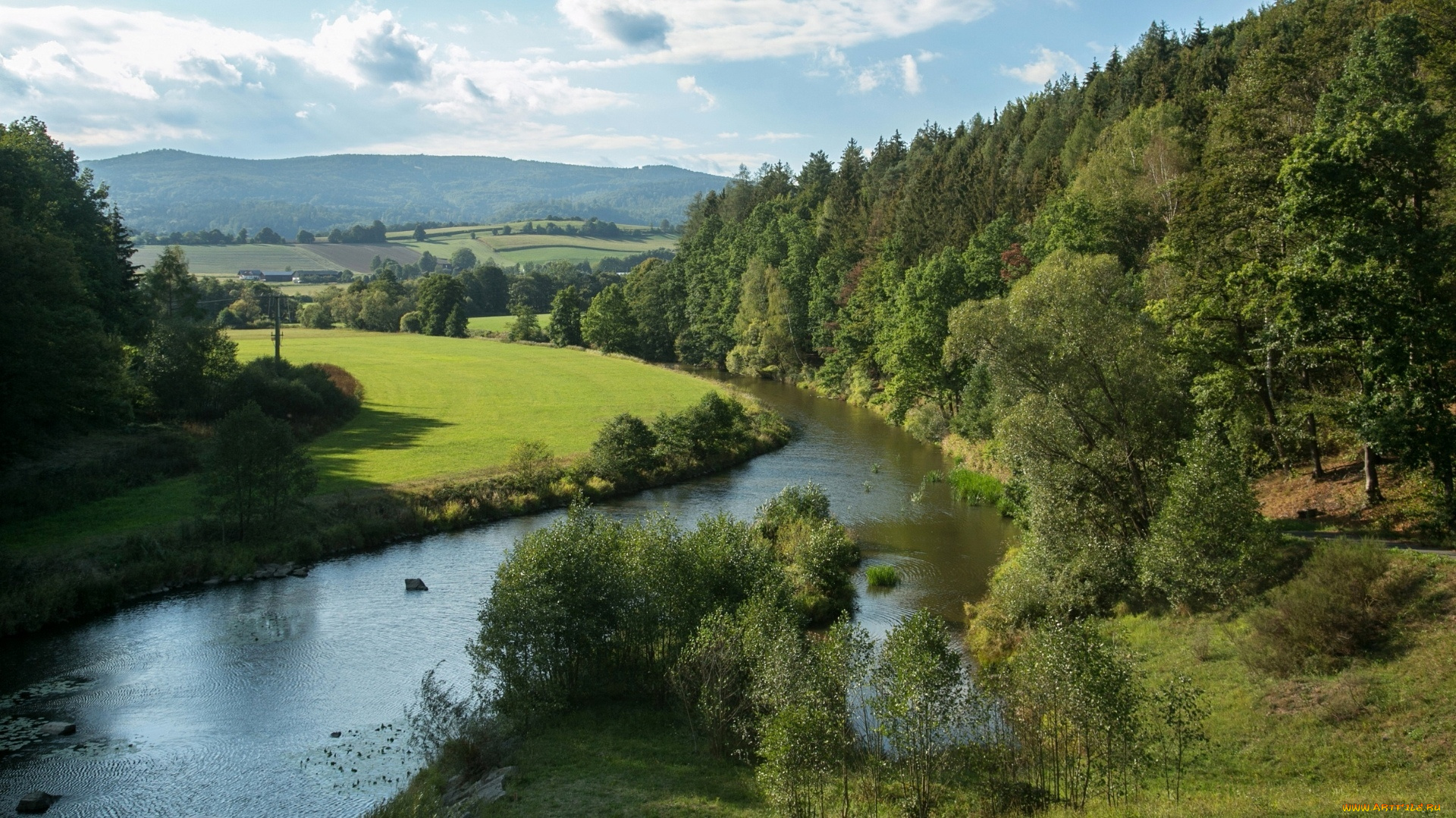 природа, реки, озера, лес, река