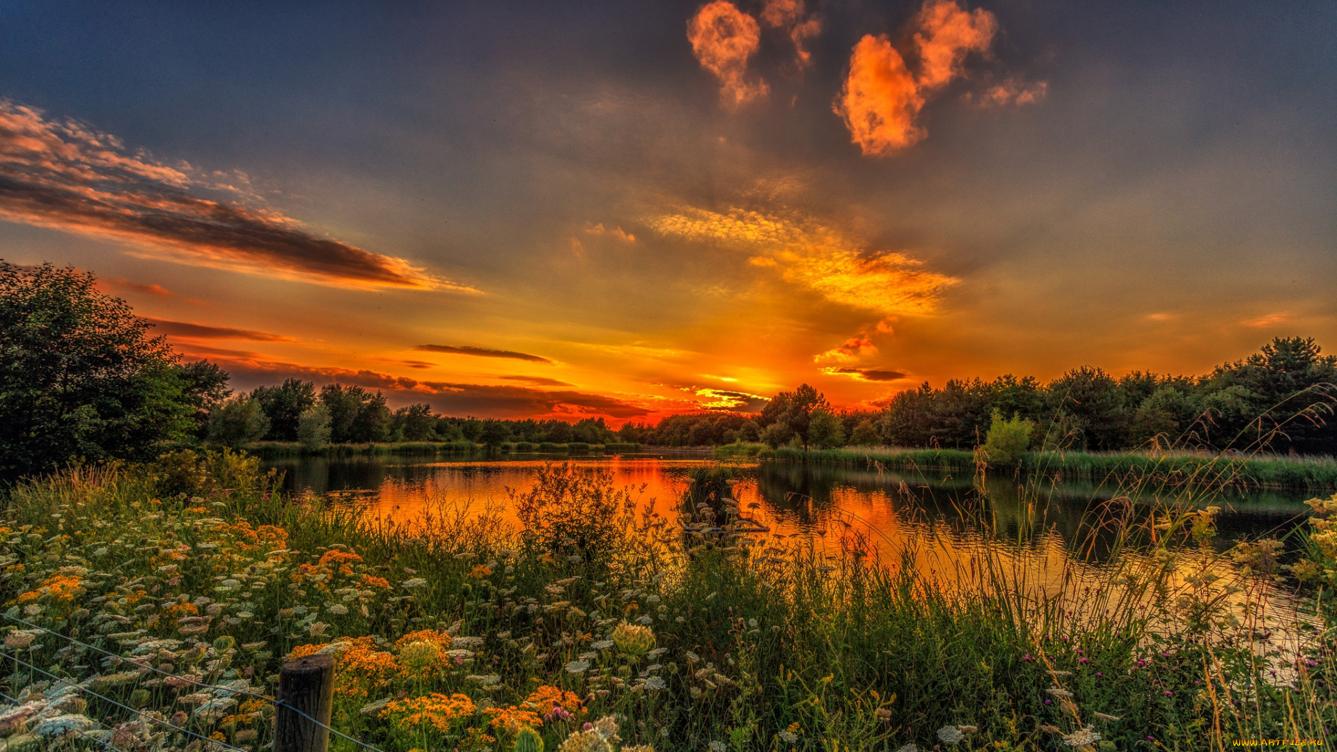 природа, реки, озера, простор