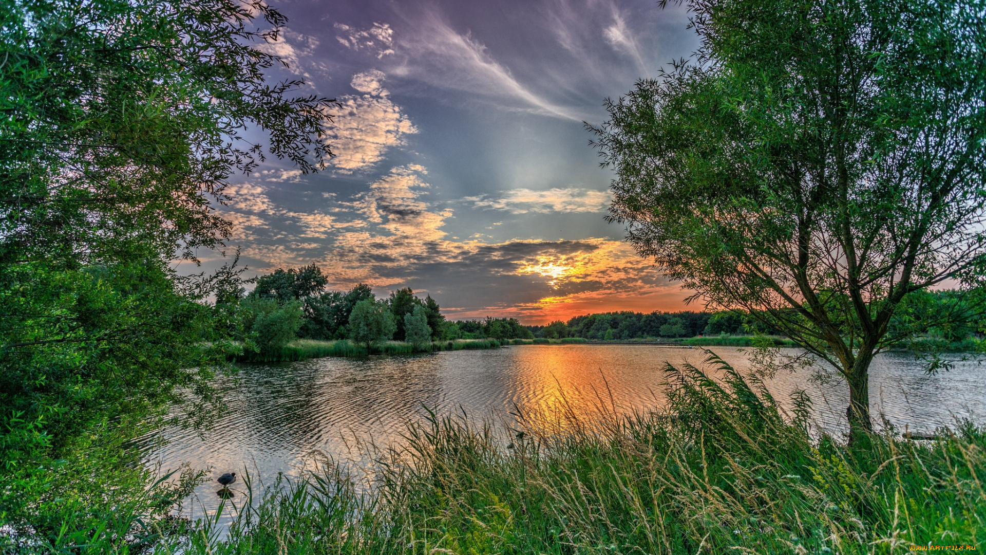 природа, реки, озера, простор