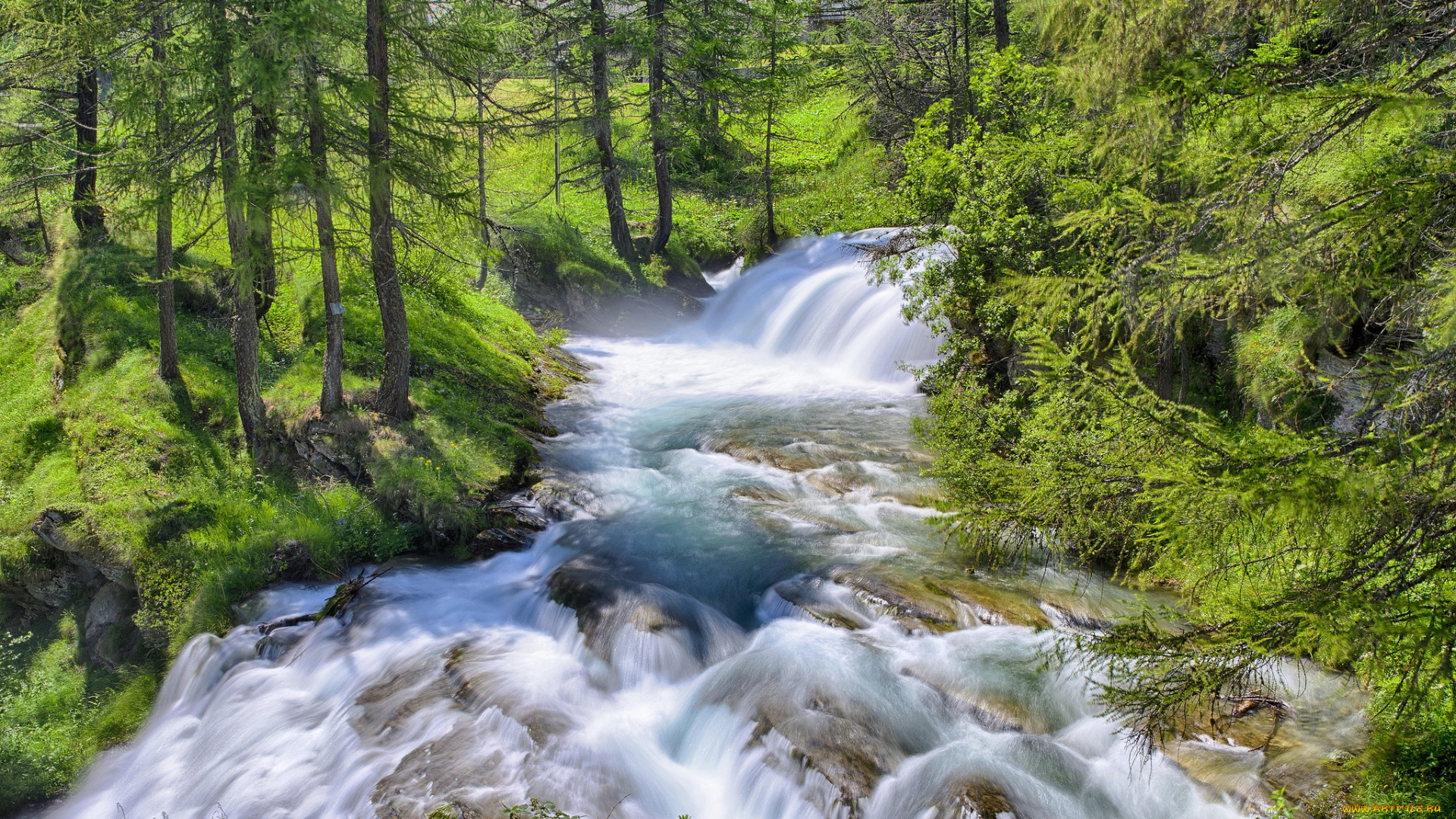 природа, реки, озера, простор