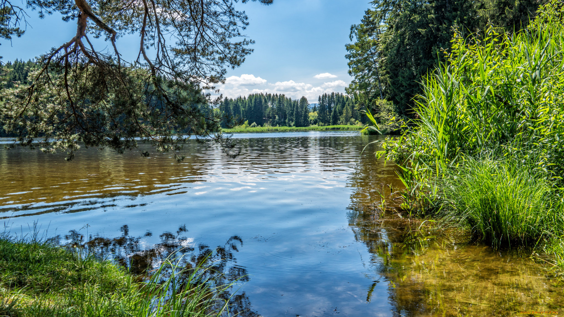 природа, реки, озера, простор