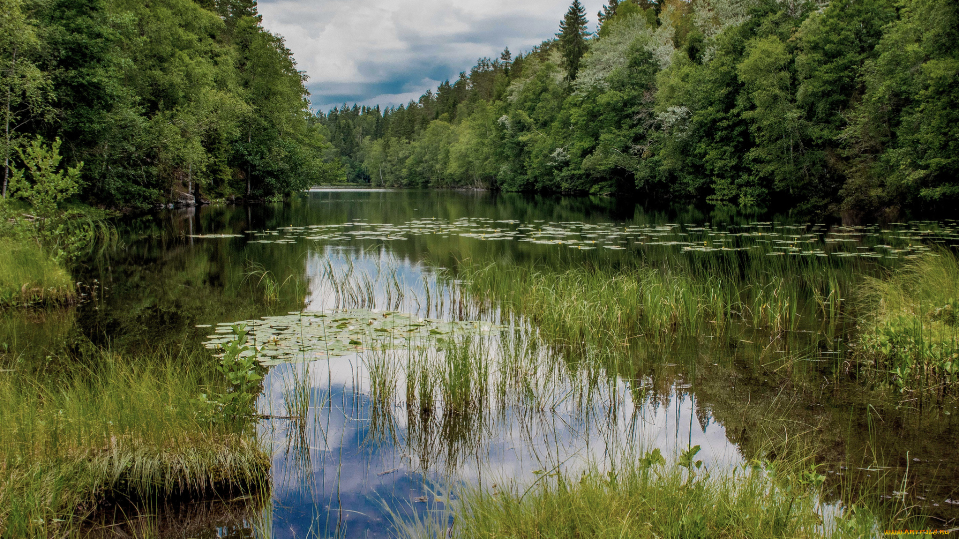 природа, реки, озера, простор