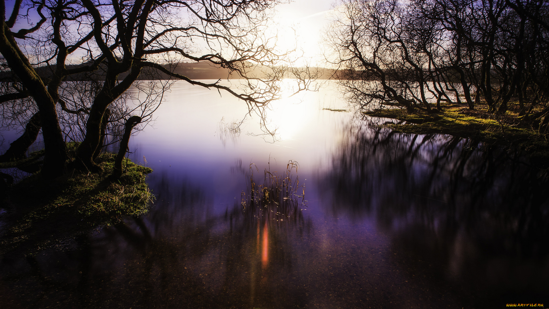 природа, реки, озера, утро