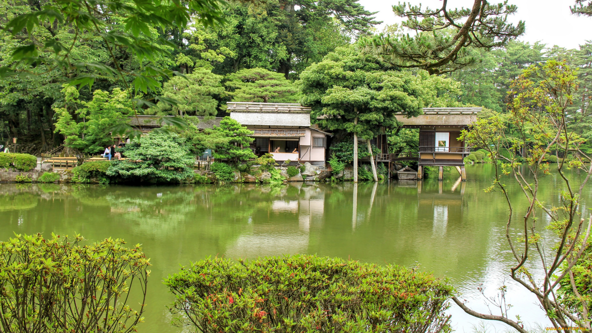 природа, реки, озера, япония