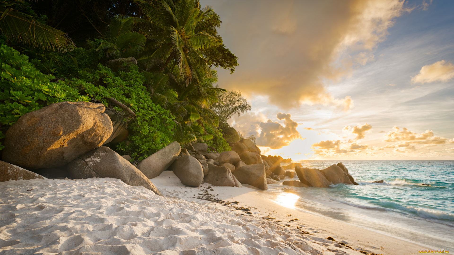 природа, тропики, простор