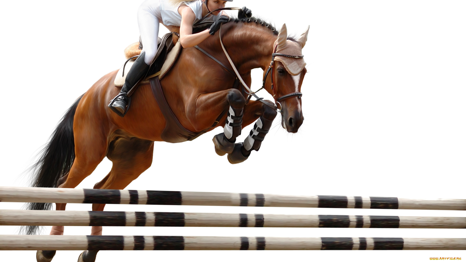 спорт, конный, спорт, конь, блондинка, жокей, прыжок, барьер