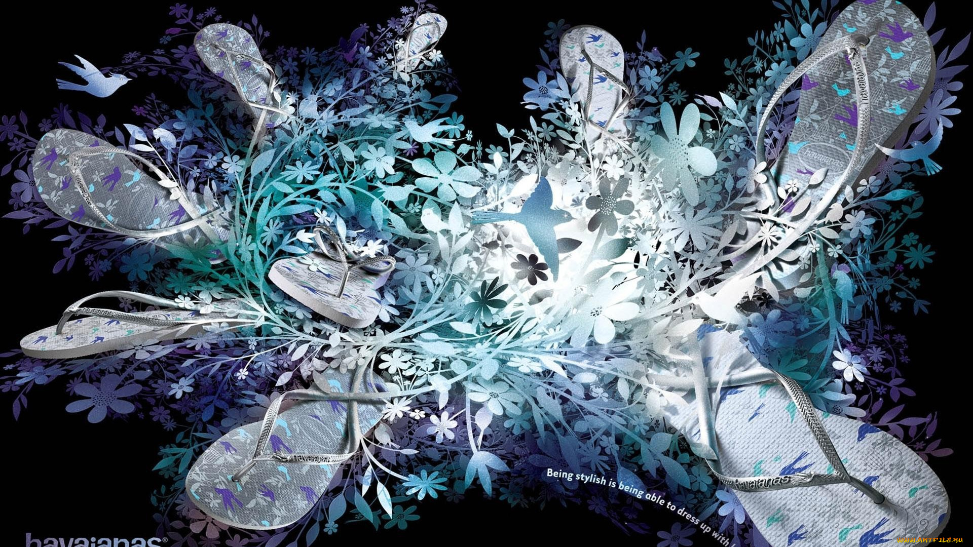 векторная, графика, цветы, , flowers, цветы, тапки, птицы