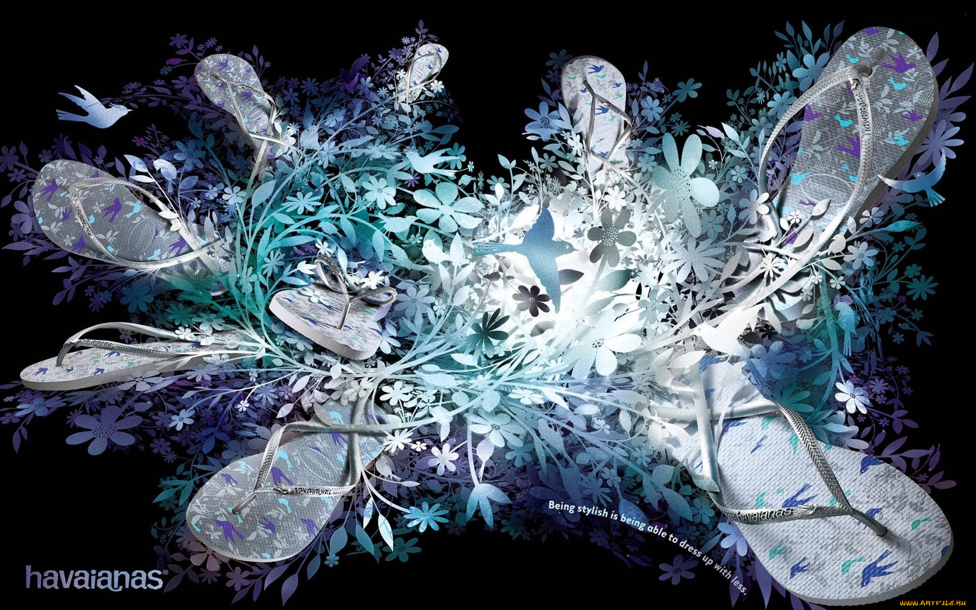 векторная, графика, цветы, , flowers, цветы, тапки, птицы