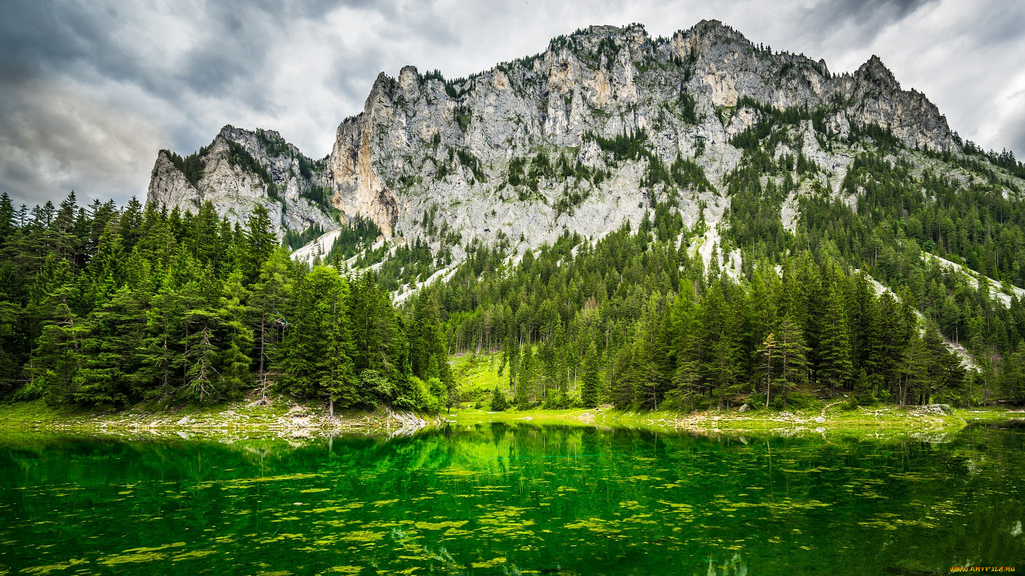 природа, горы, простор