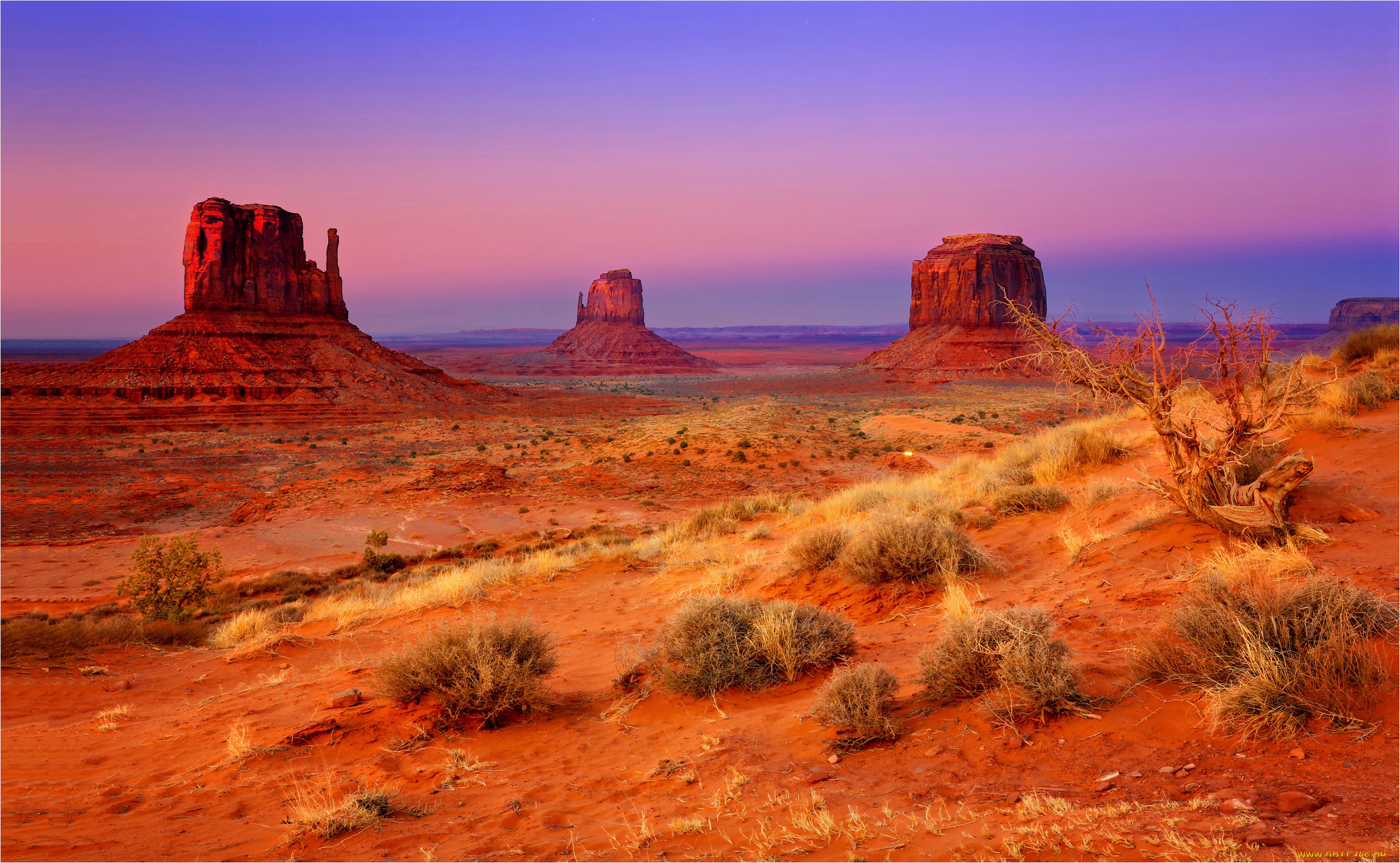 природа, пустыни, простор