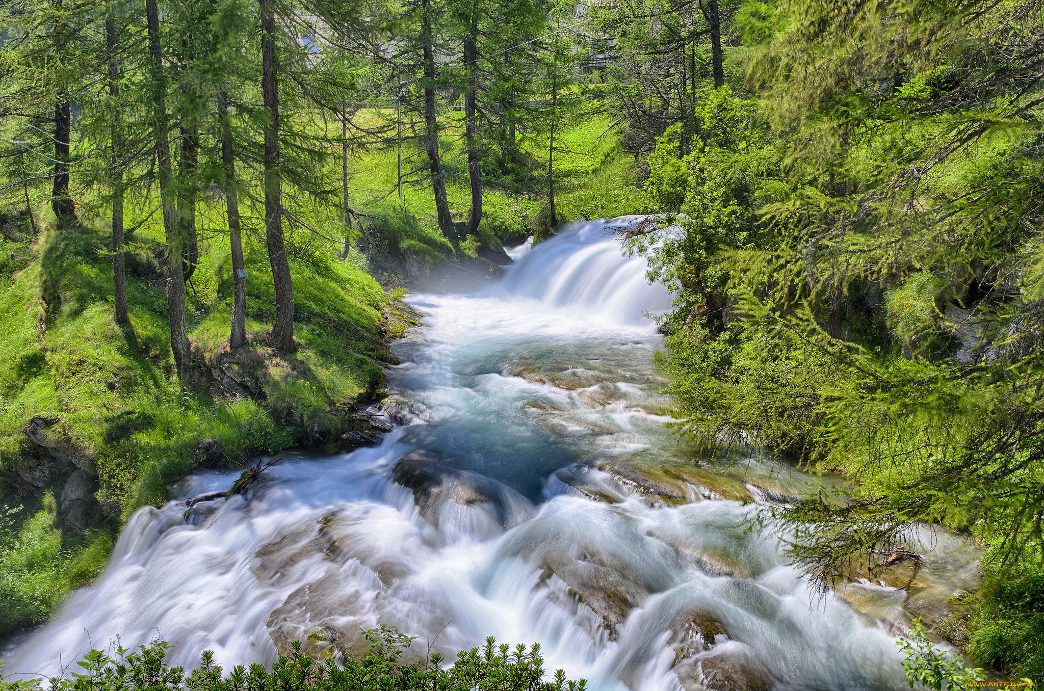 природа, реки, озера, простор