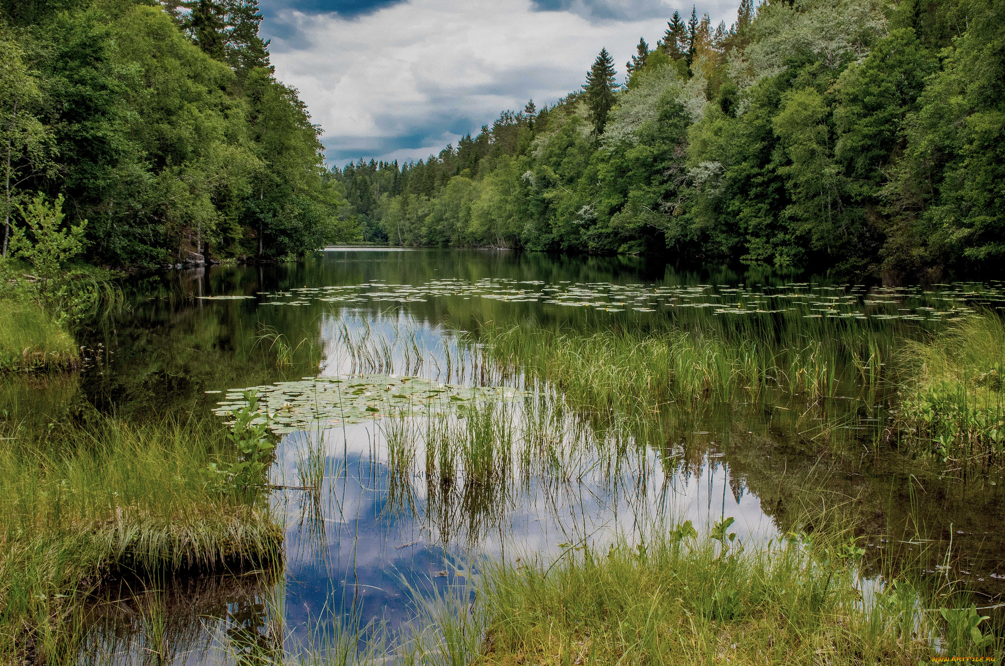 природа, реки, озера, простор