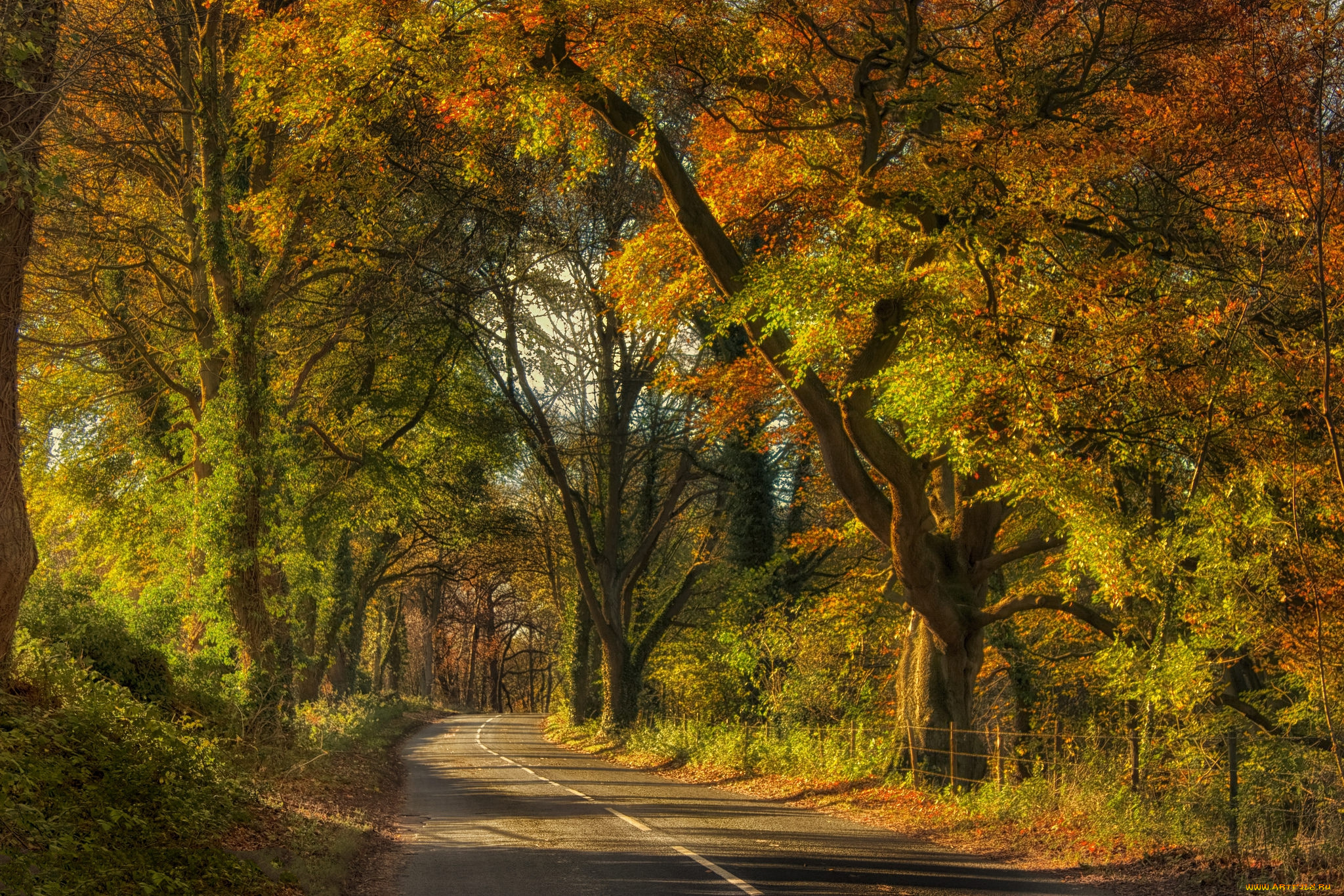 природа, дороги, простор