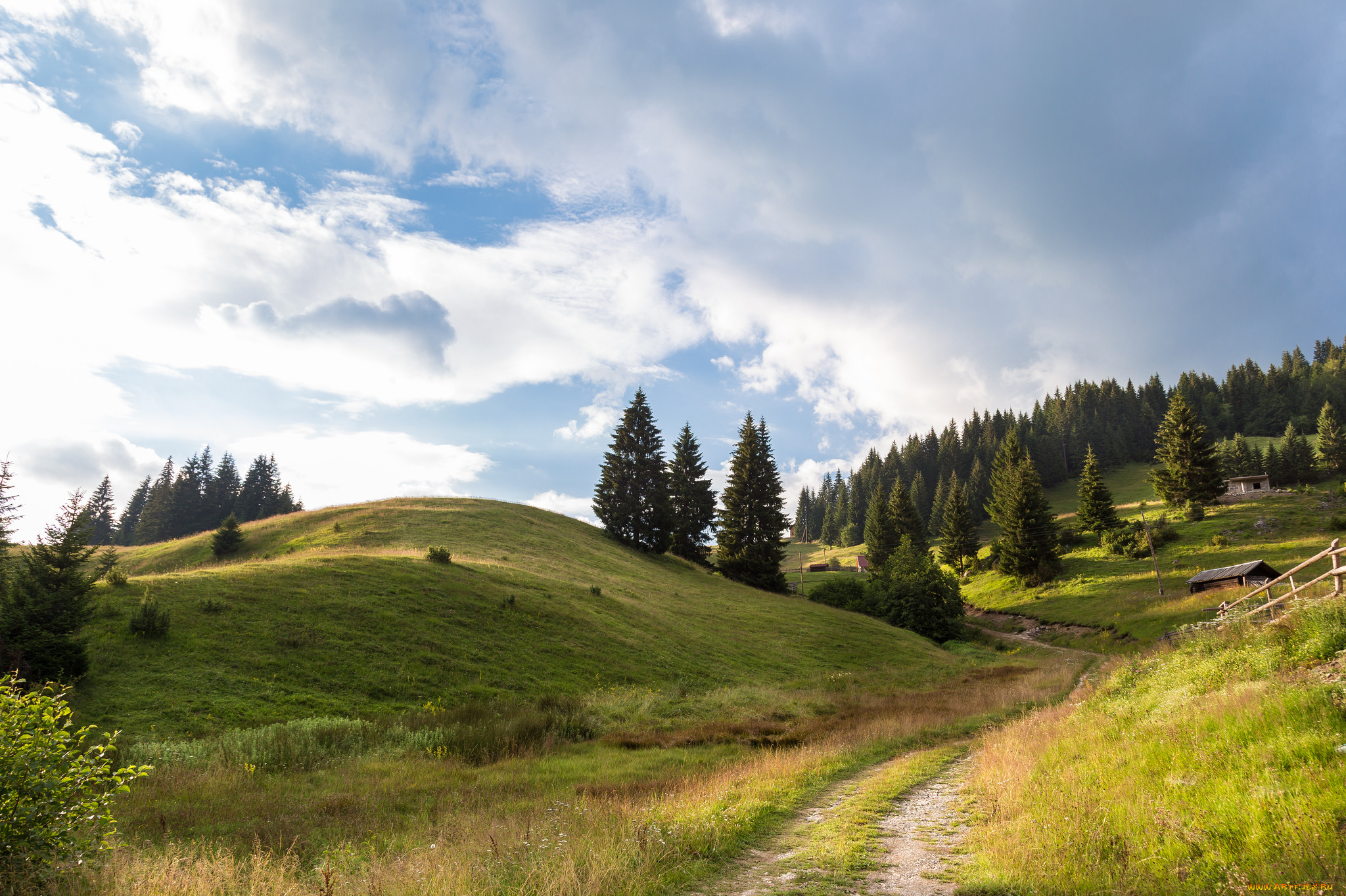 природа, дороги, простор