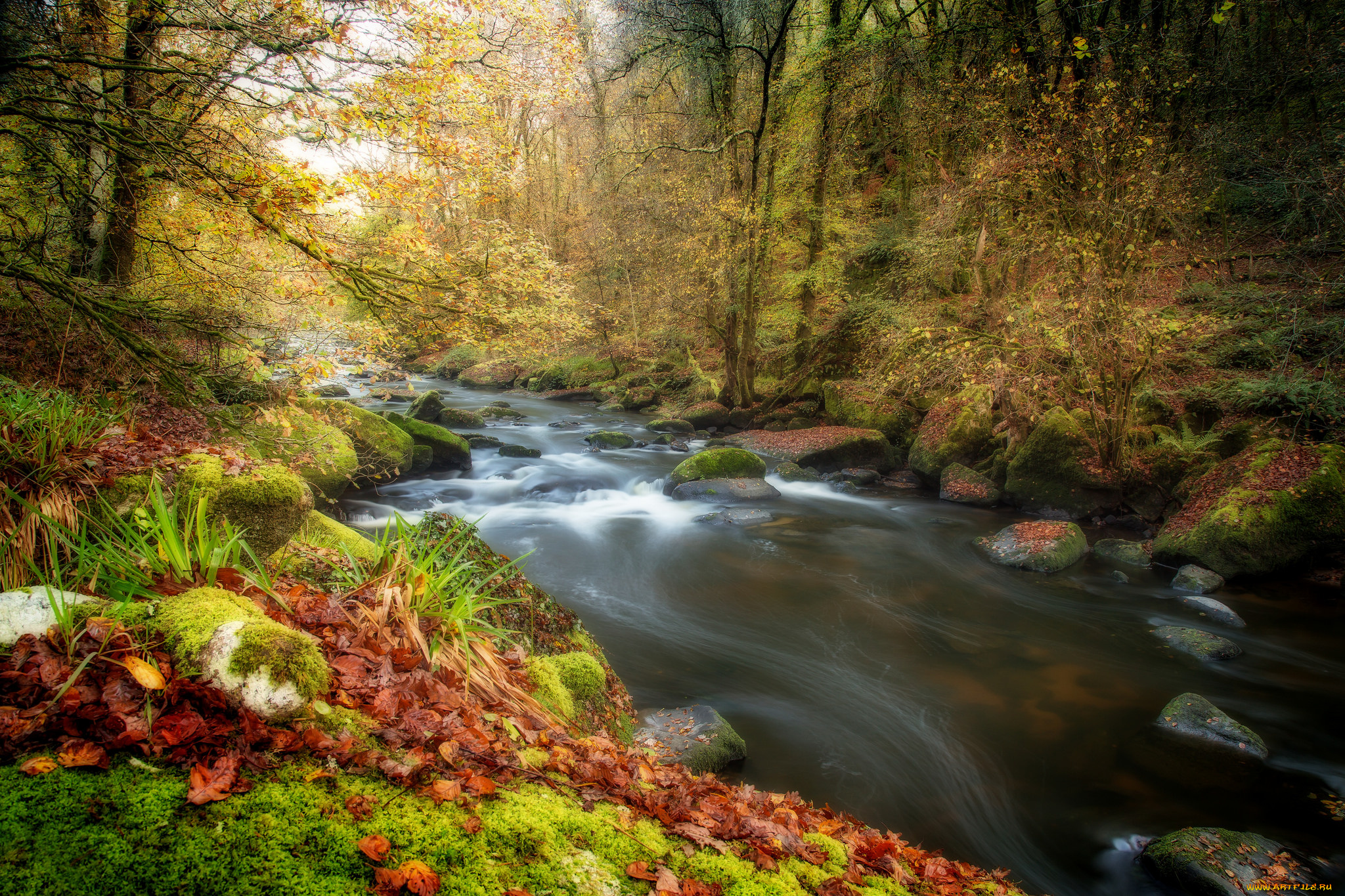 природа, реки, озера, простор