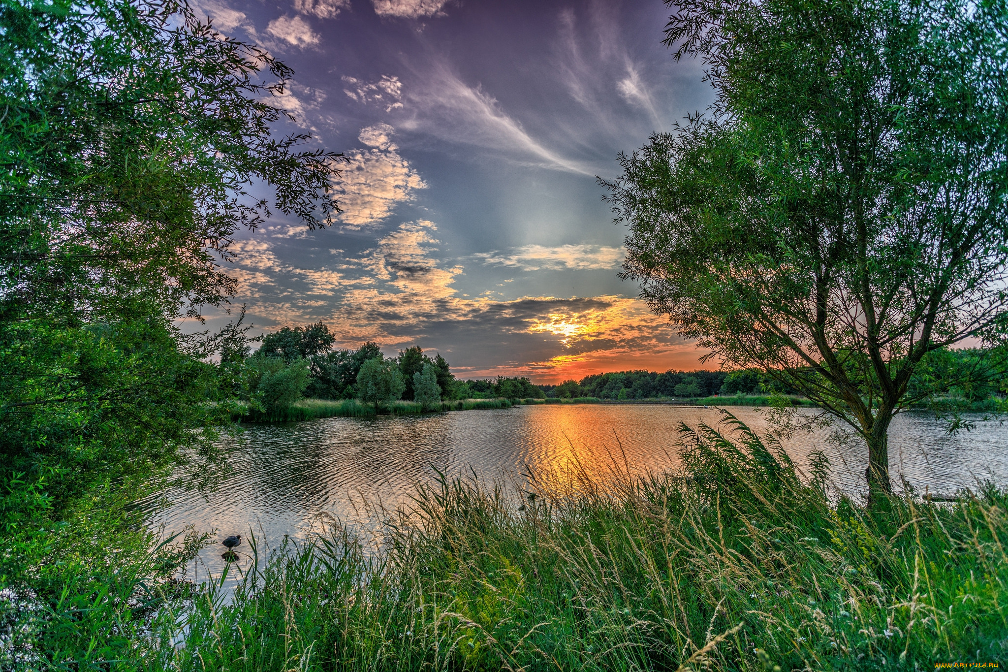 природа, реки, озера, простор