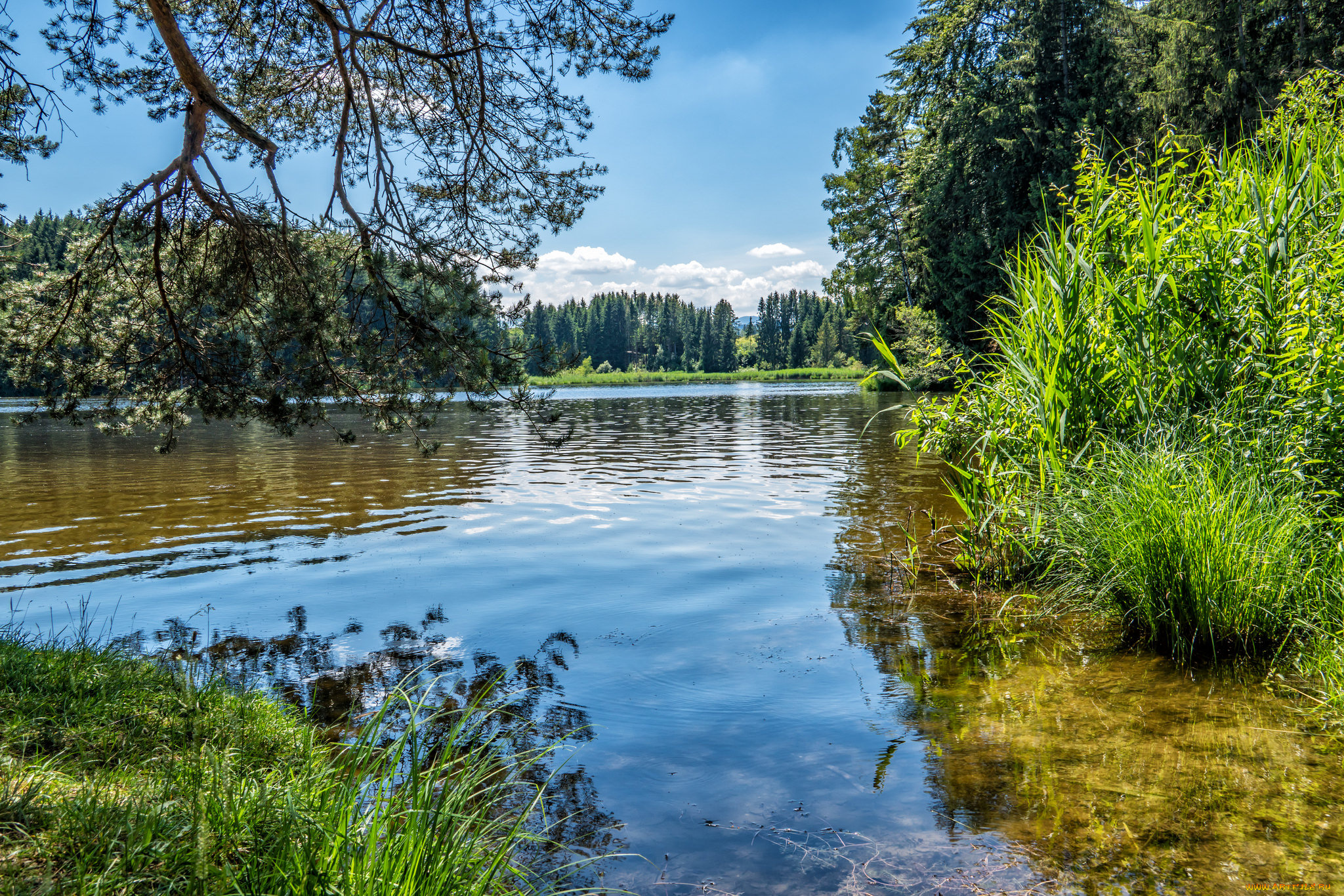 природа, реки, озера, простор