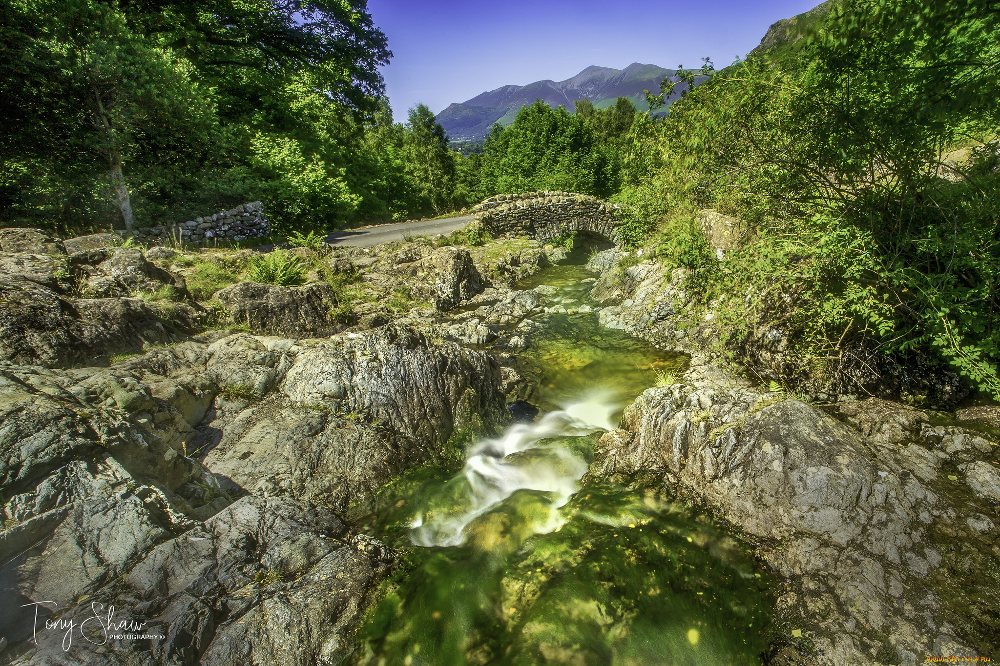 природа, реки, озера, ручей