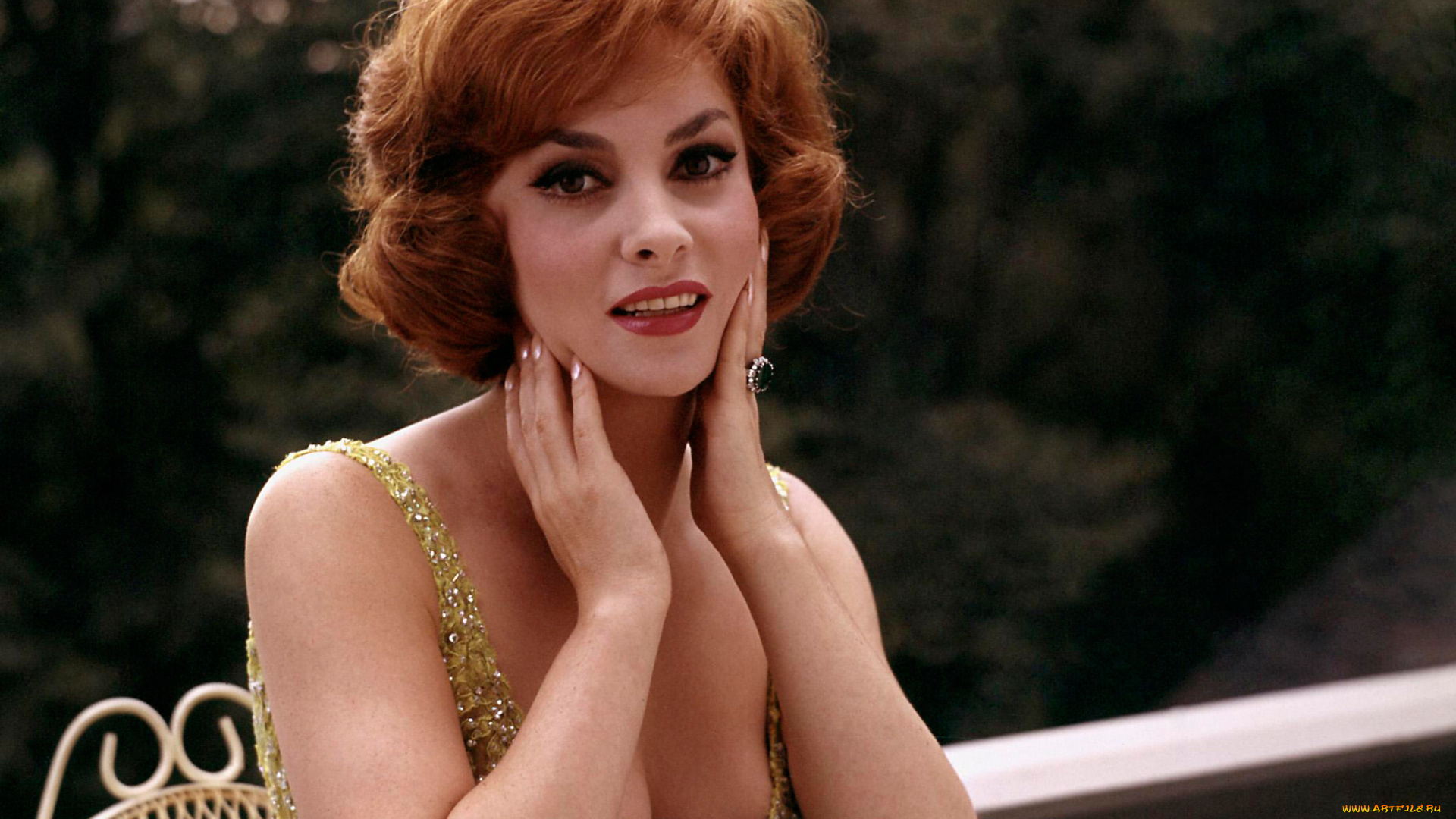 gina, lollobrigida, девушки, gina, lollobrigida, девушка, актриса, италия, кино, звезда, мировое, красавица, портрет, макияж, фотография, взгляд