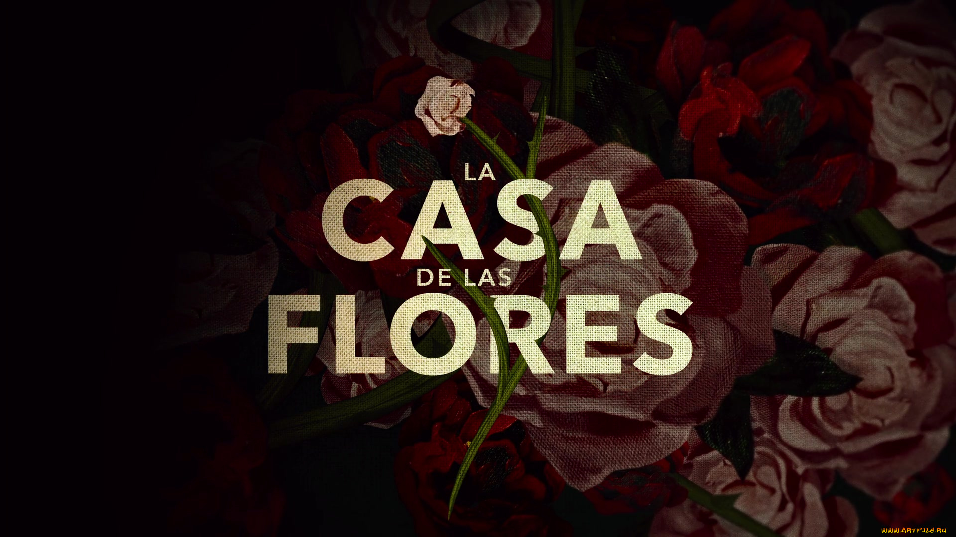 кино, фильмы, la, casa, de, las, flores, , сериал, цветы, гобелен