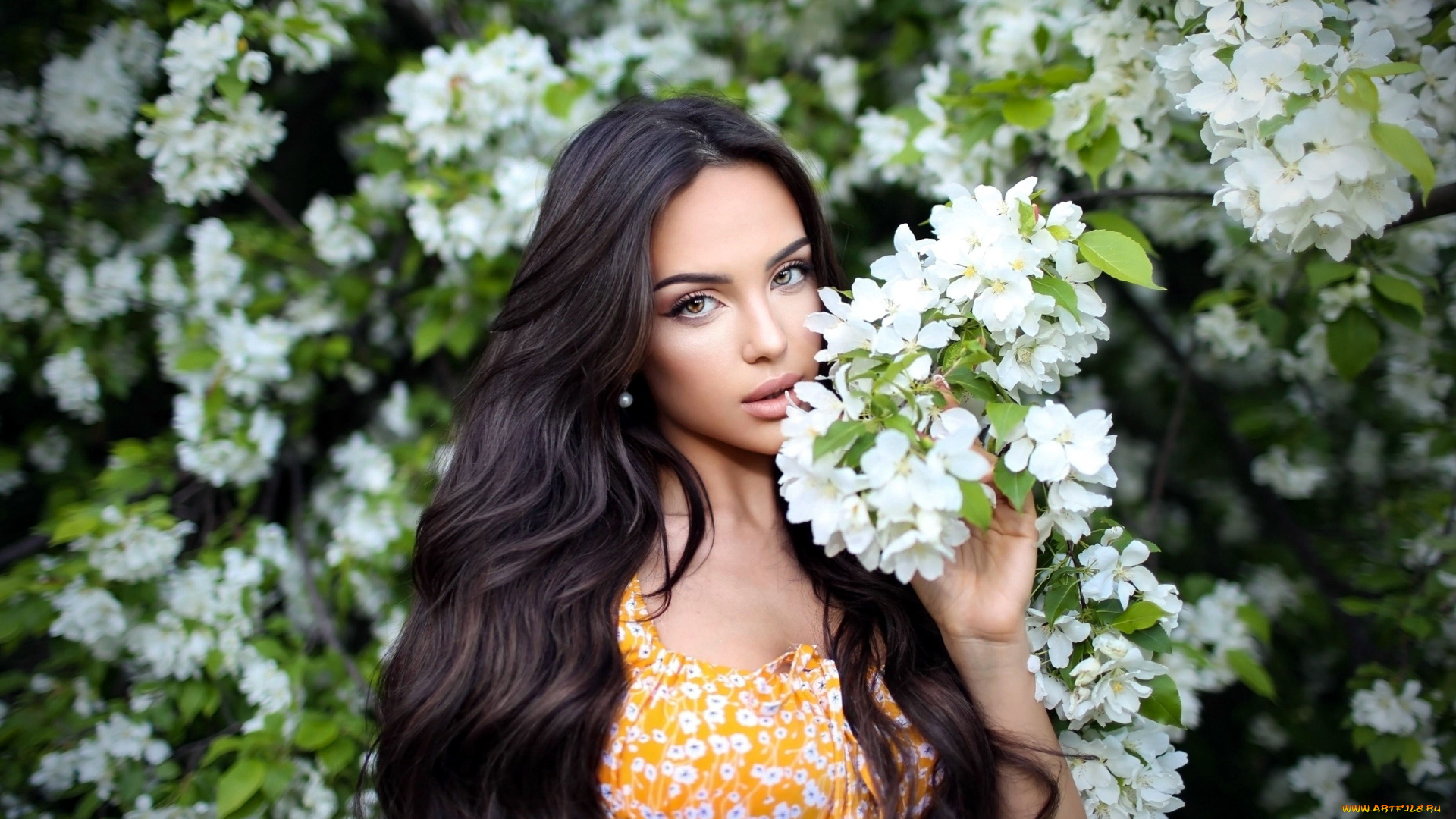 девушки, анастасия, тайлакова, брюнетка, весна, цветущее, дерево