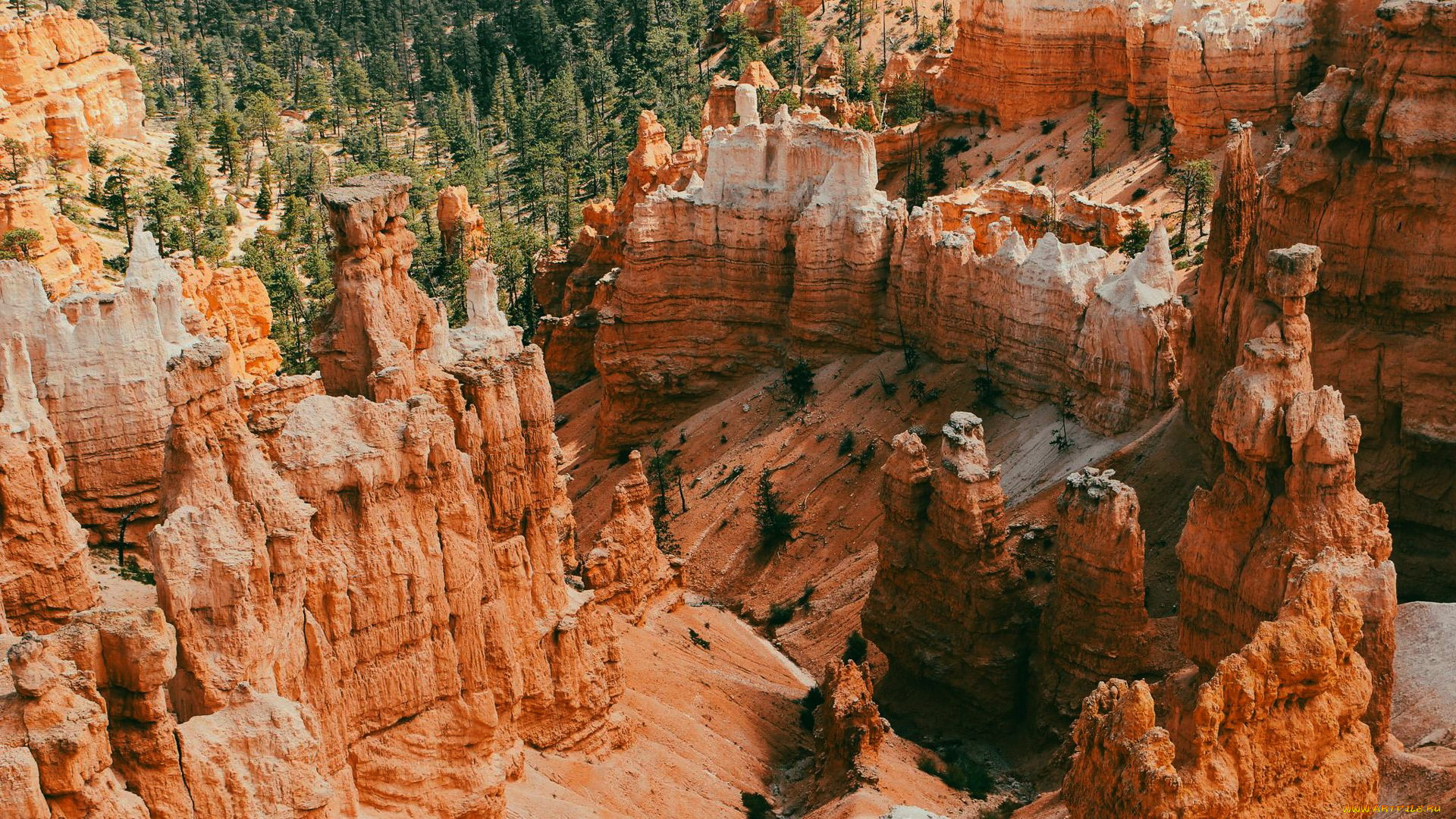 navajo, loop, bryce, canyon, national, park, природа, горы, navajo, loop, bryce, canyon, national, park