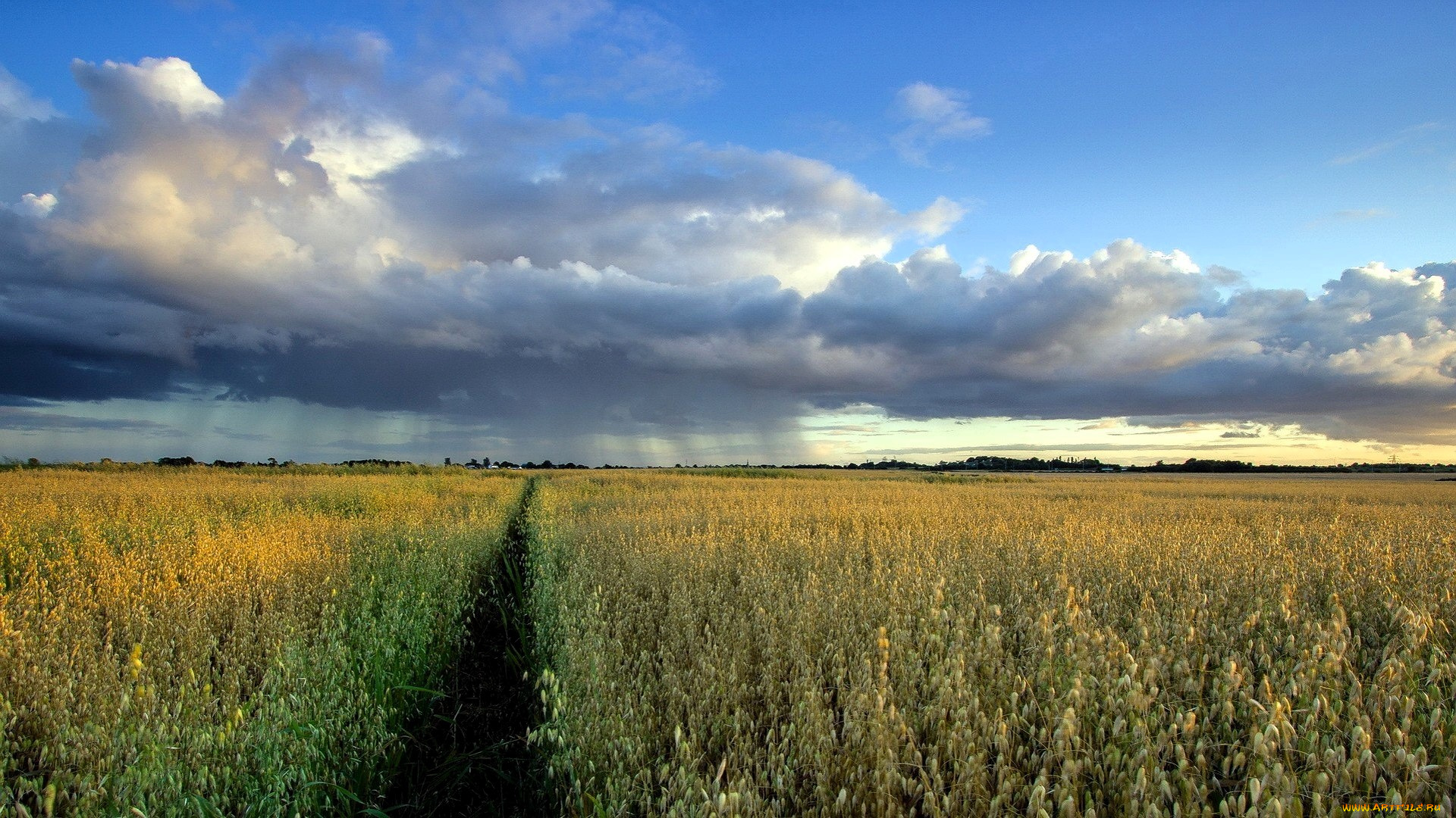 природа, поля, поле, дорожка, небо, тучи, дождь