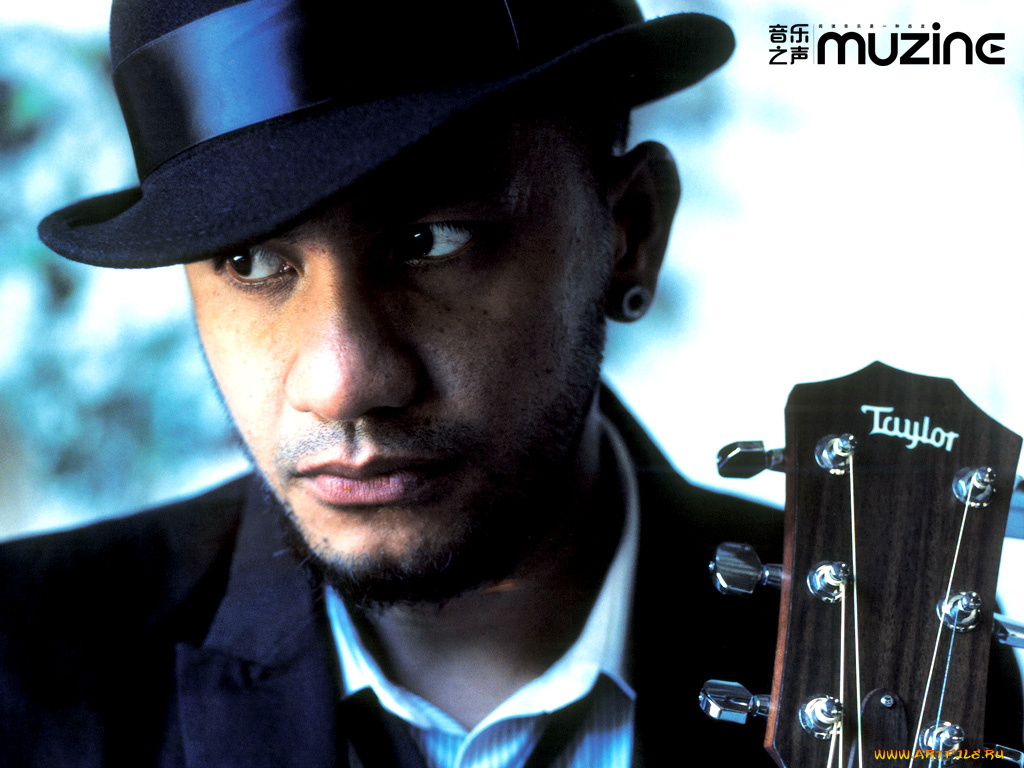 muzine, бренды