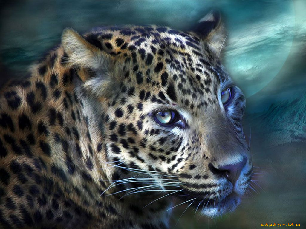 рисованные, животные