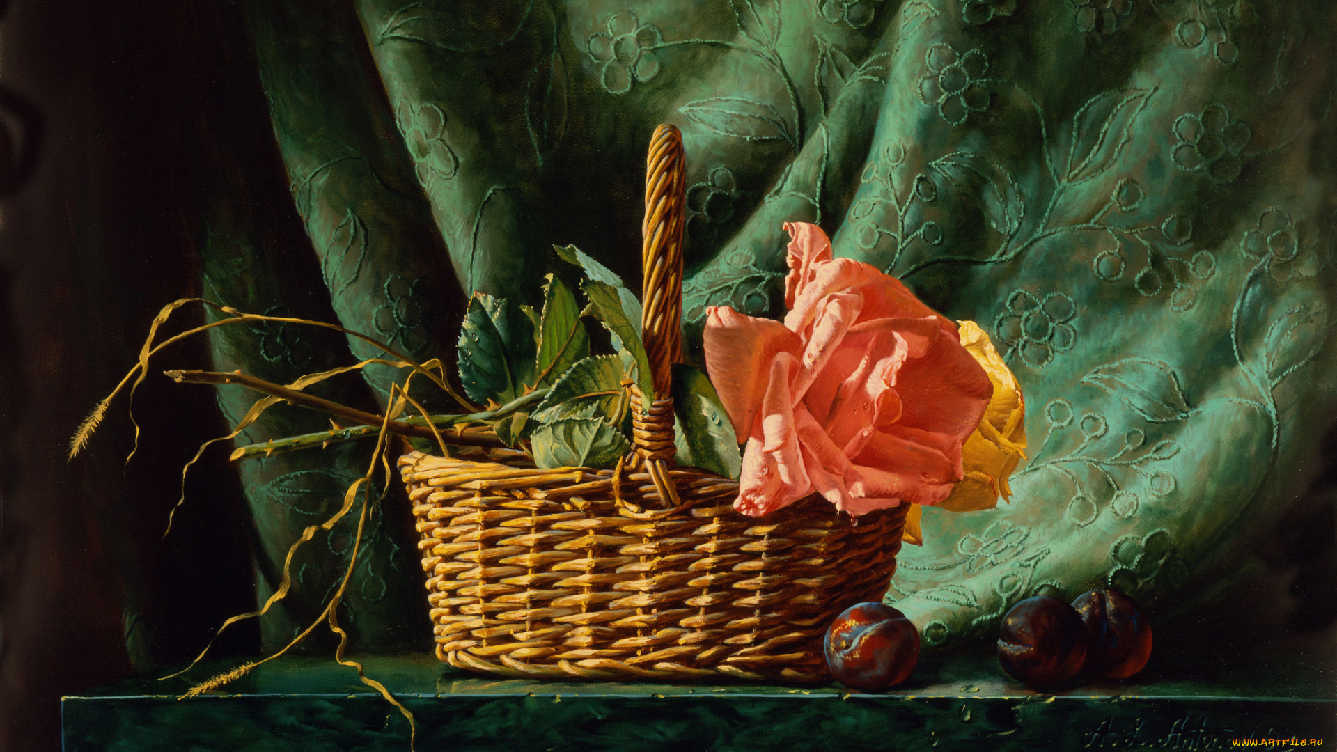 alexei, antonov, рисованные, алексей, антонов, корзина, роза