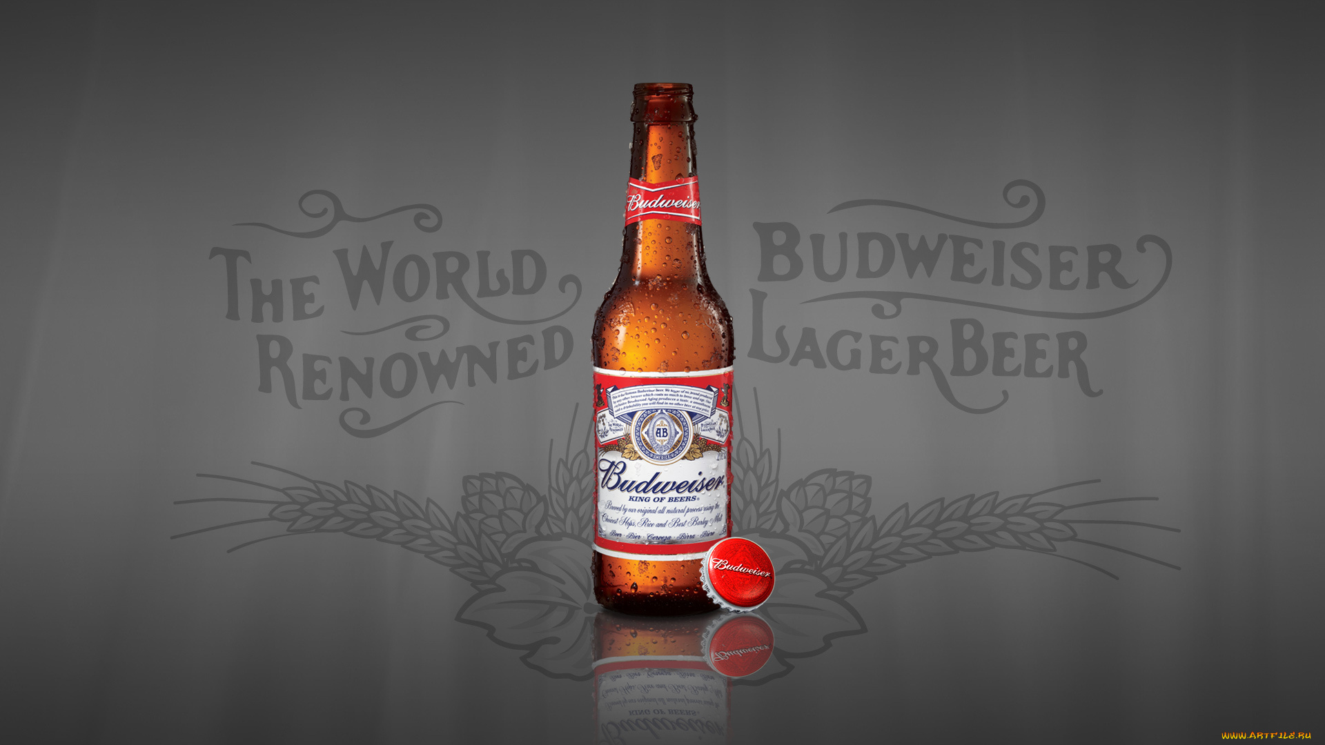 бренды, budweiser, алкоголь, напиток