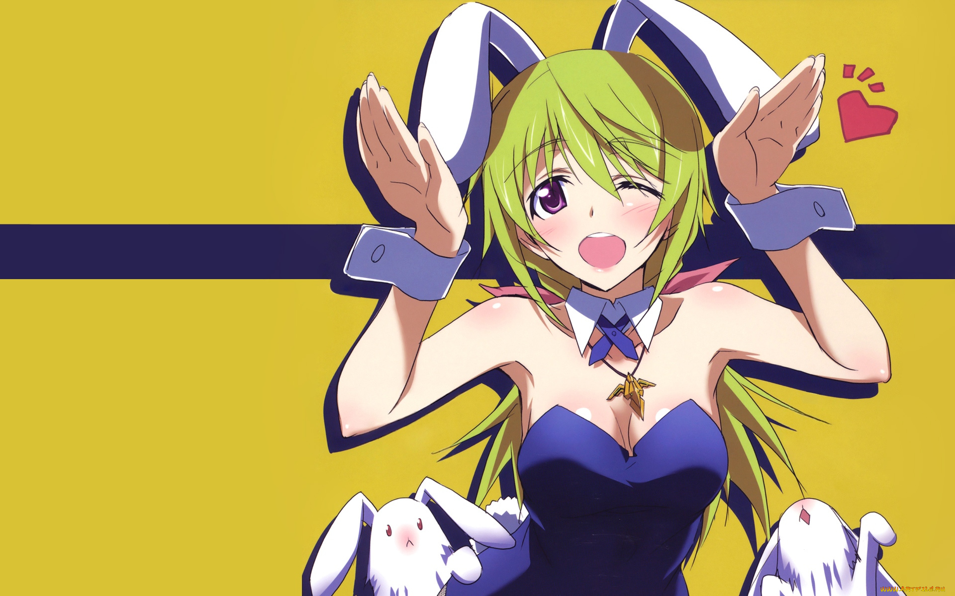 аниме, infinite, stratos, девушка