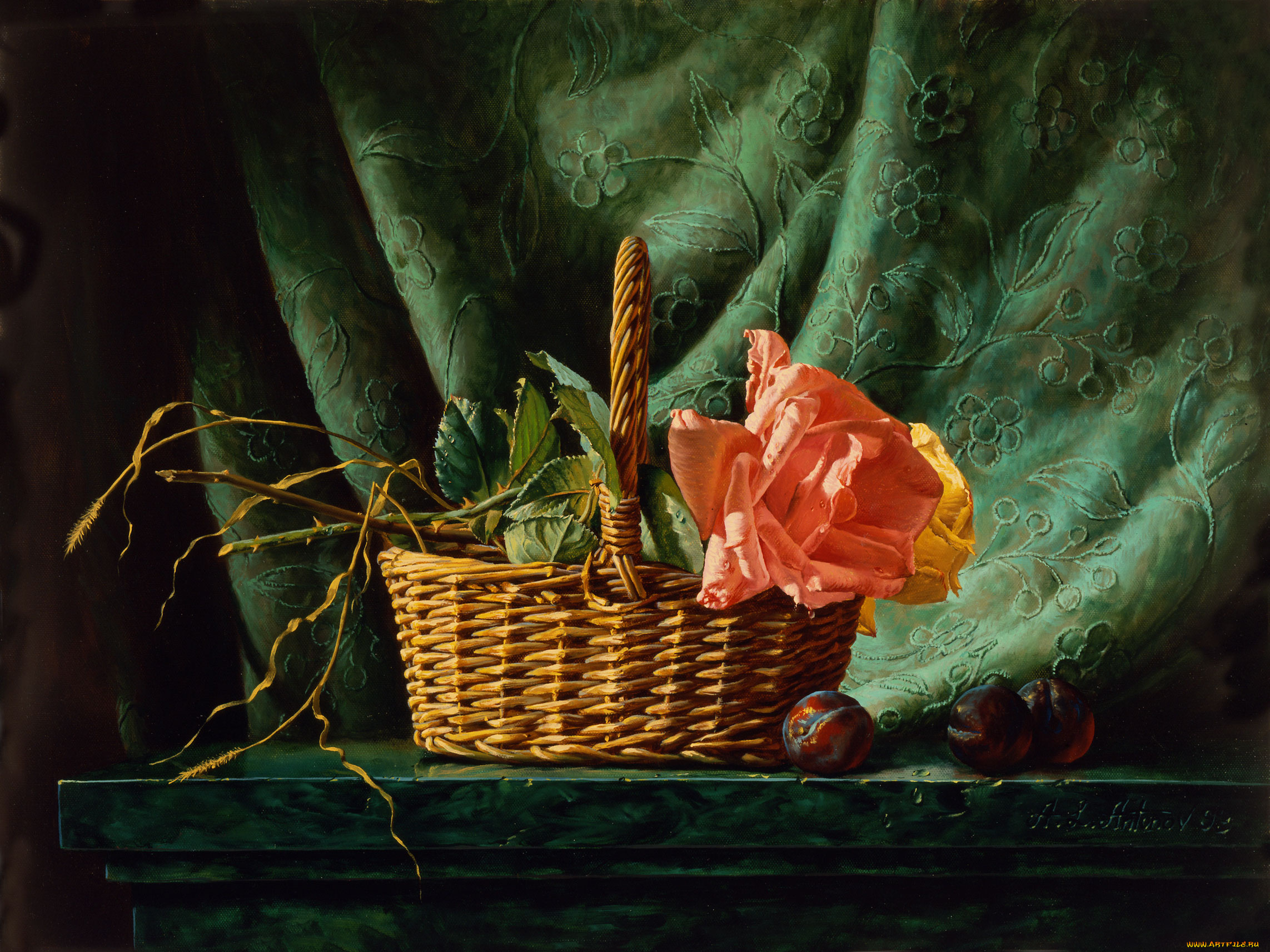 alexei, antonov, рисованные, алексей, антонов, корзина, роза