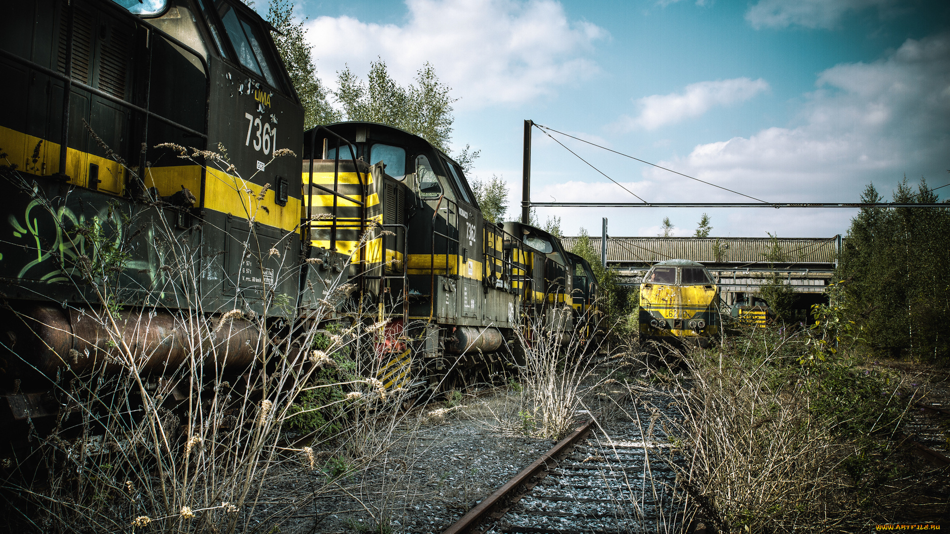 train, техника, поезда, рельсы, пути, бурьян