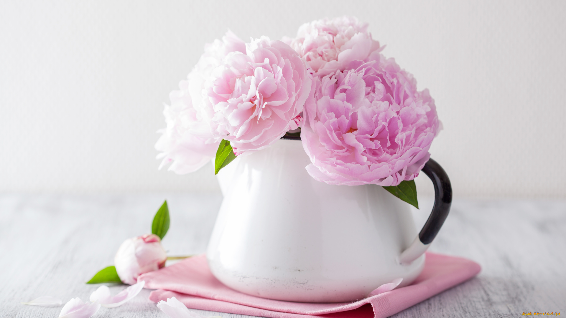 цветы, пионы, натюрморт, лепестки, розовые