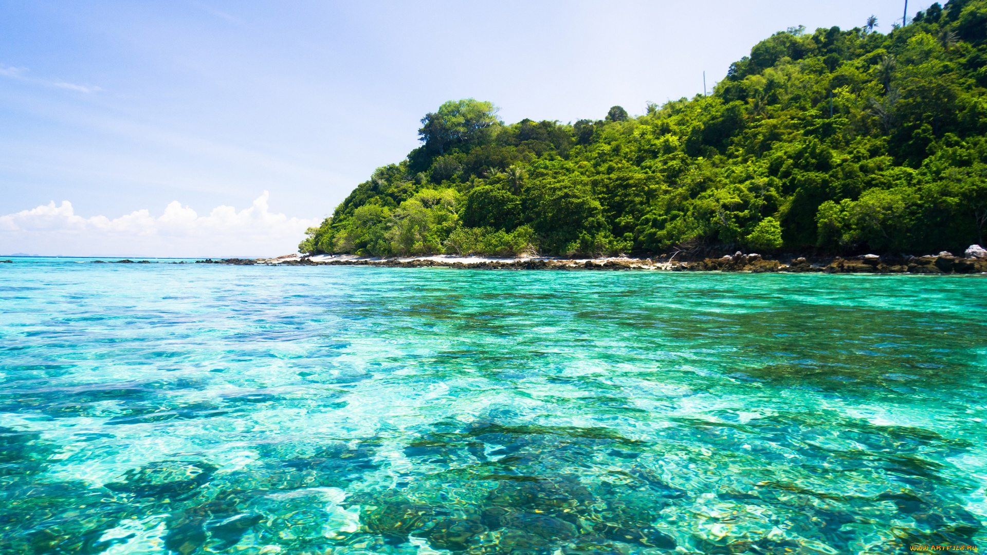 природа, тропики, пляж, море, солнышко, песок, пальмы