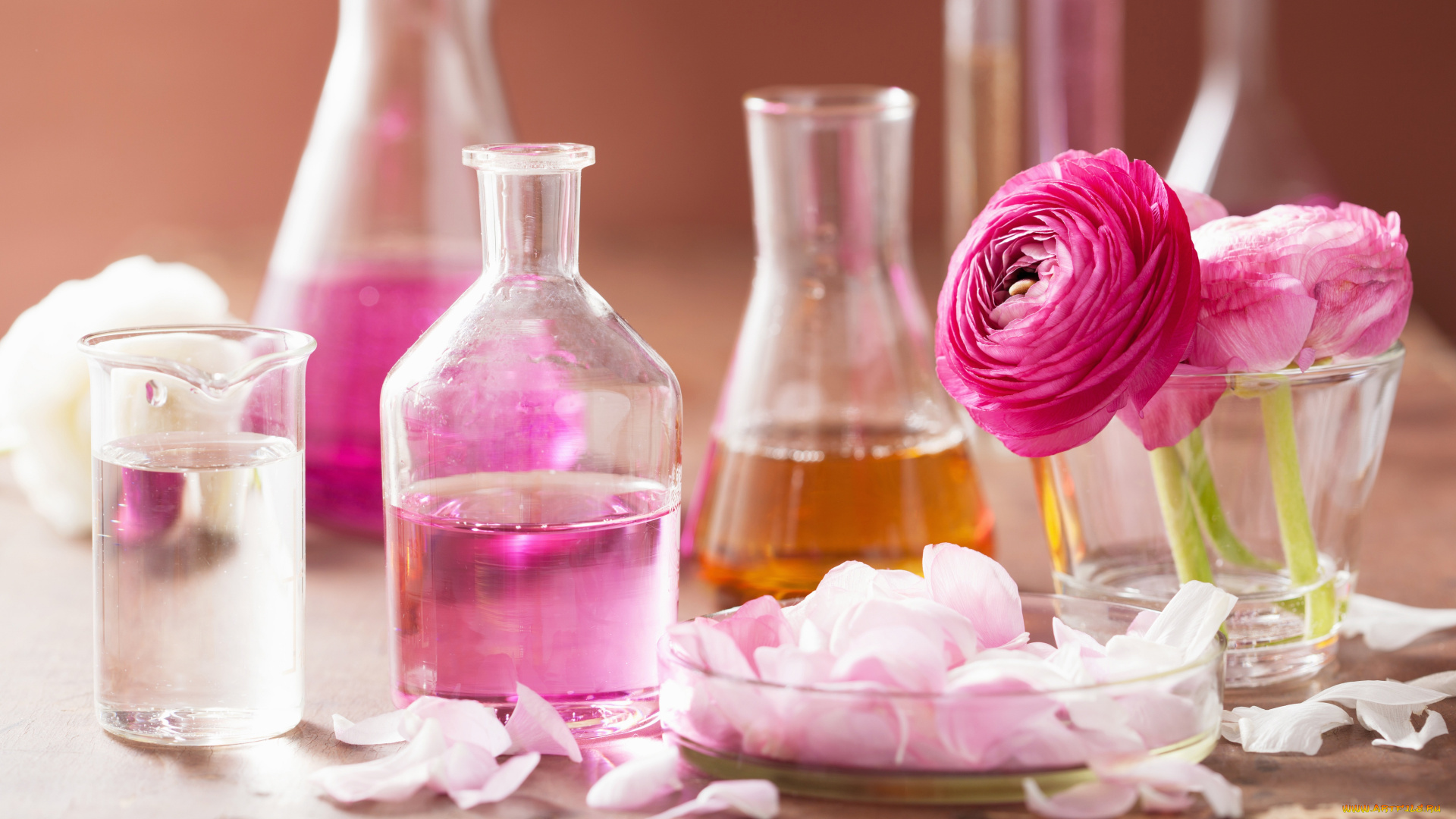 разное, косметические, средства, , духи, розы, натюрморт, лепестки, розовые, цветы, spa
