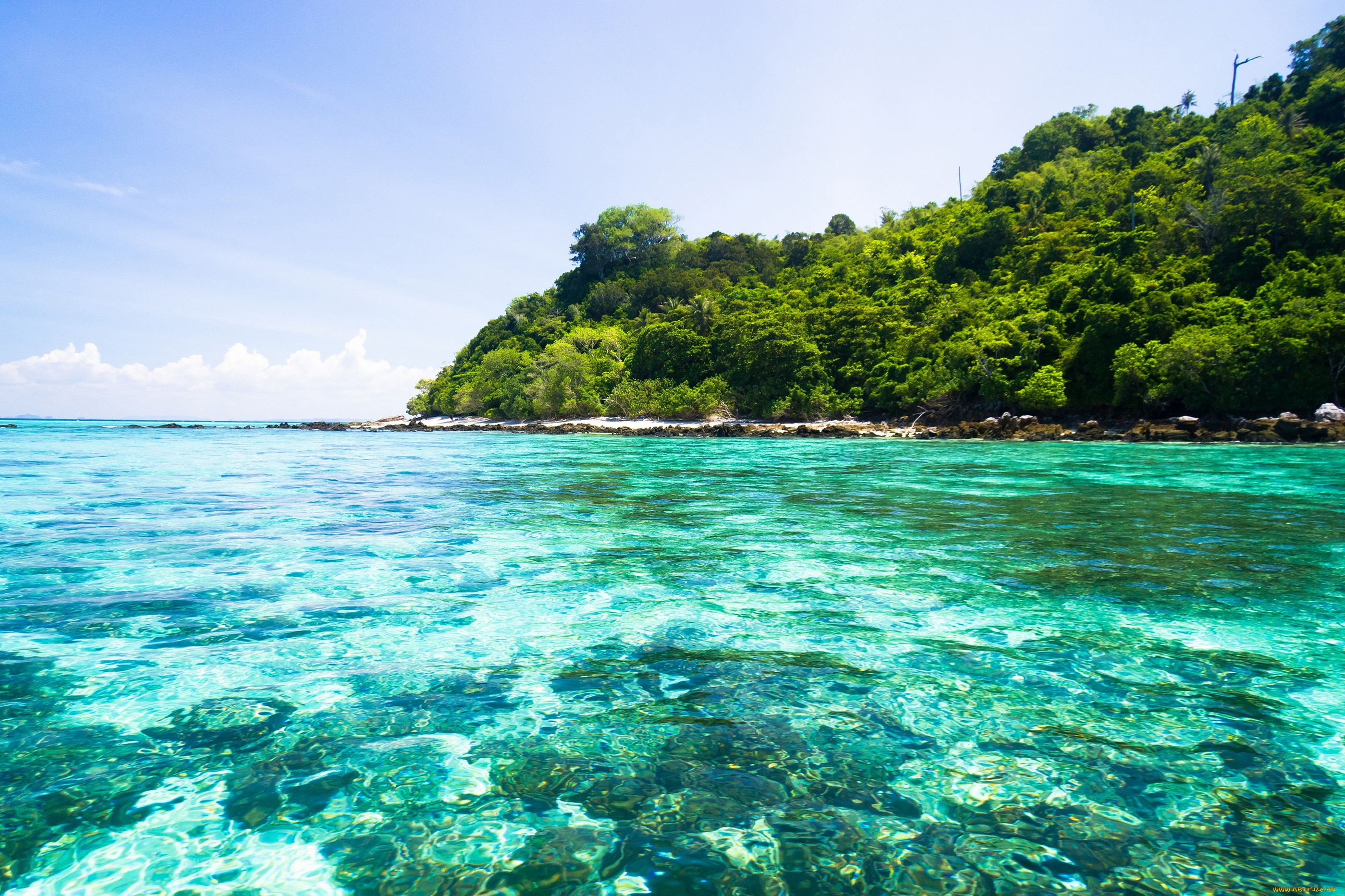 природа, тропики, пляж, море, солнышко, песок, пальмы