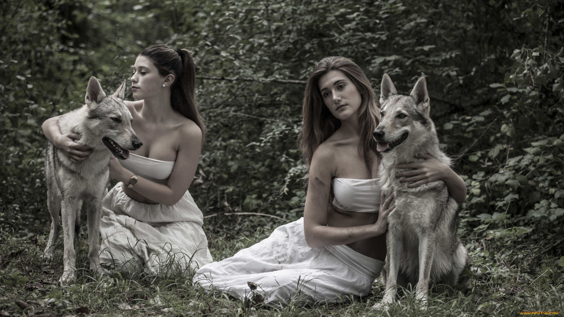 девушки, -unsort, , брюнетки, , шатенки, природа, собаки