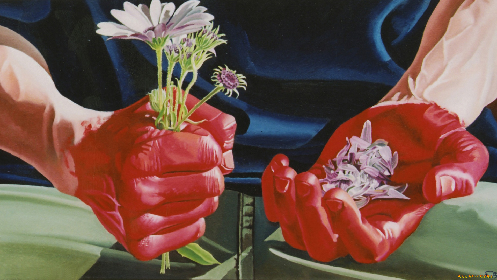 рисованное, люди, цветы, лепестки, красные, руки