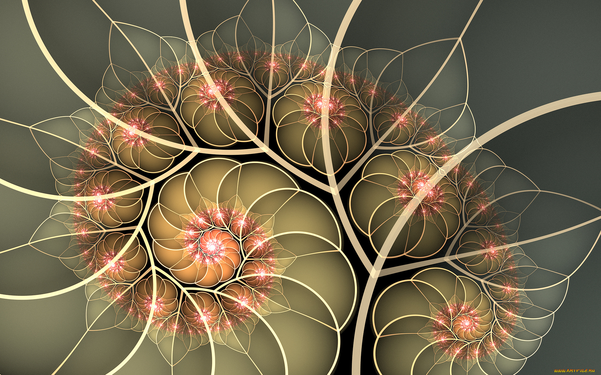 3д, графика, фракталы, , fractal, фон, узор, цвета