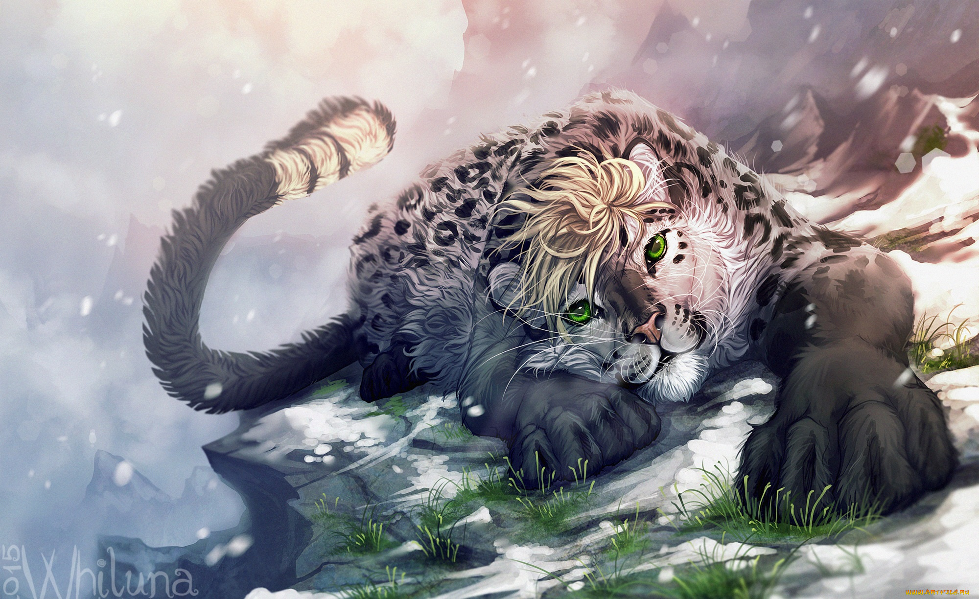 рисованное, животные, зверь, взгляд, хищник