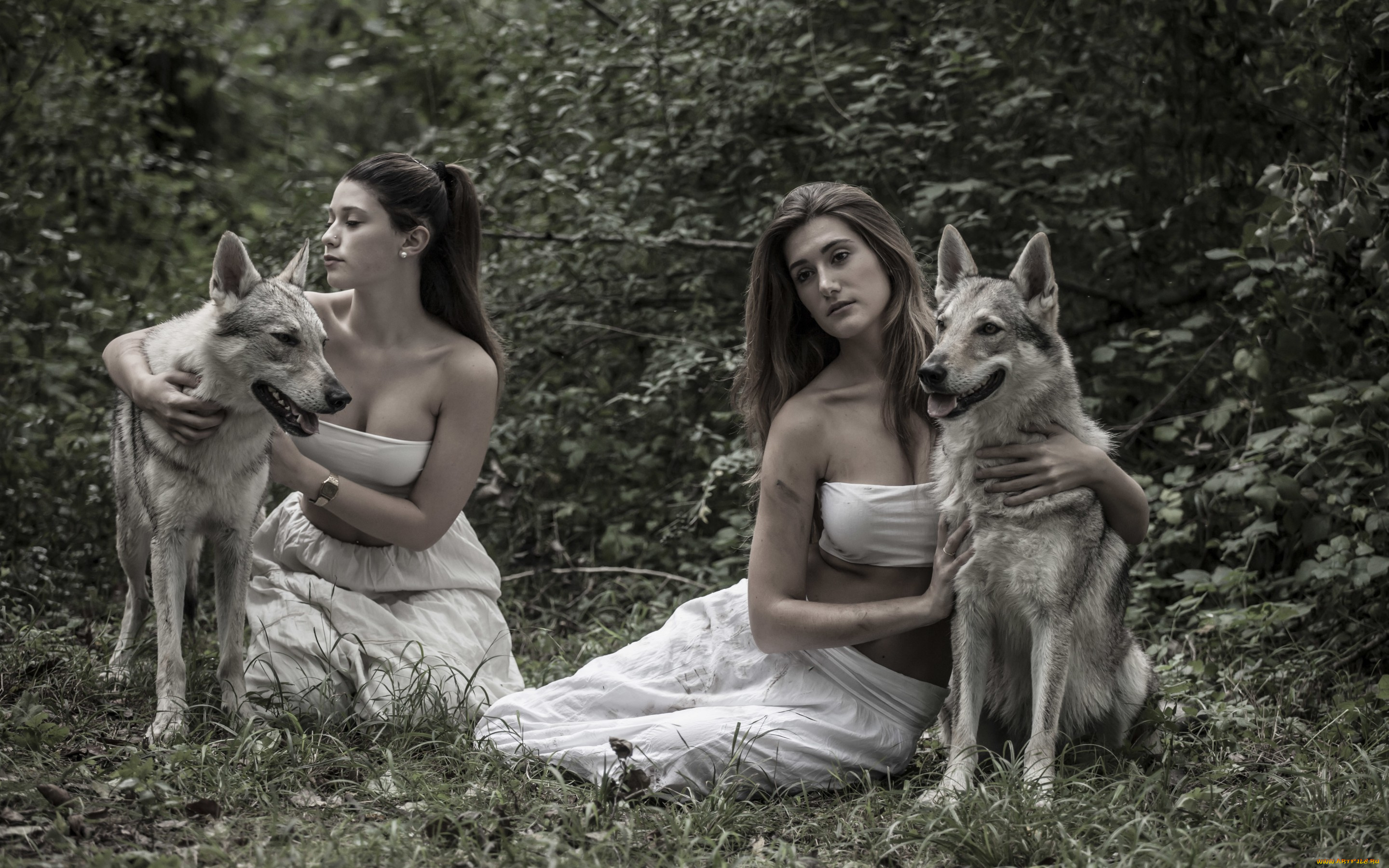 девушки, -unsort, , брюнетки, , шатенки, природа, собаки