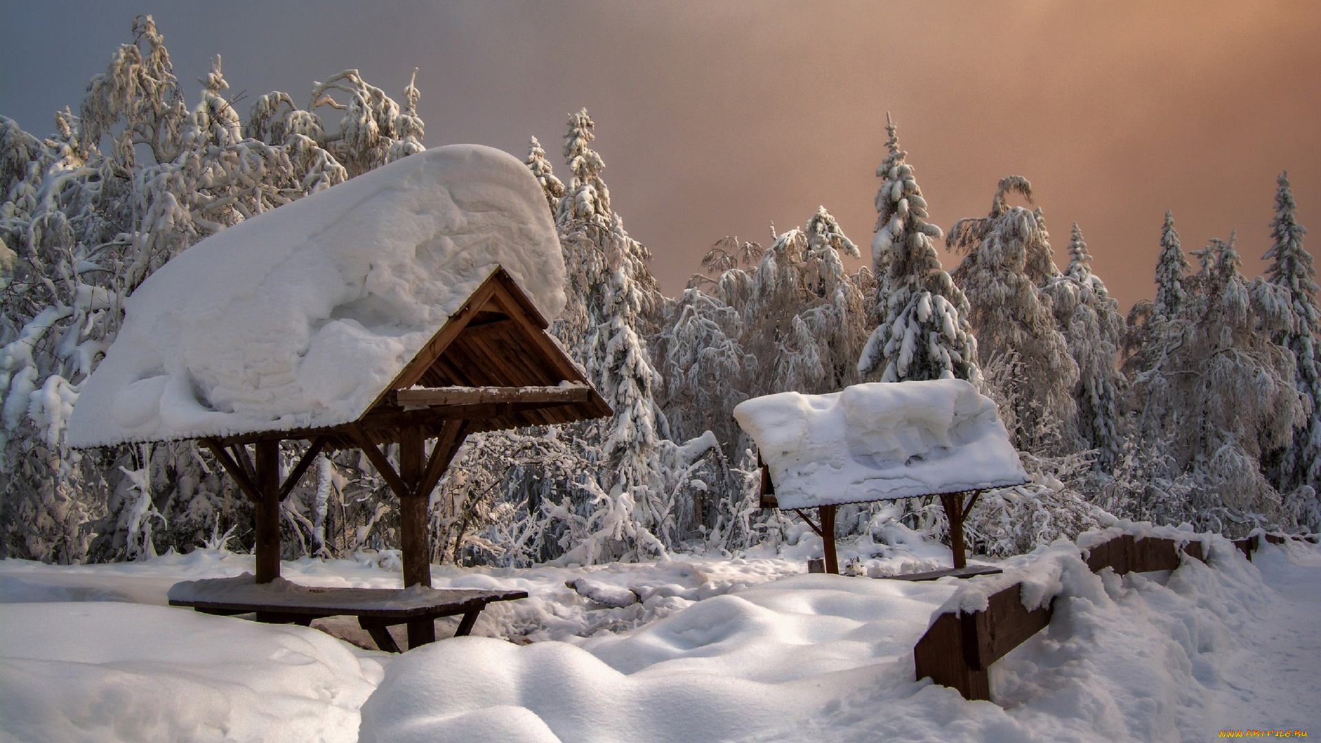 природа, зима, деревья, снег