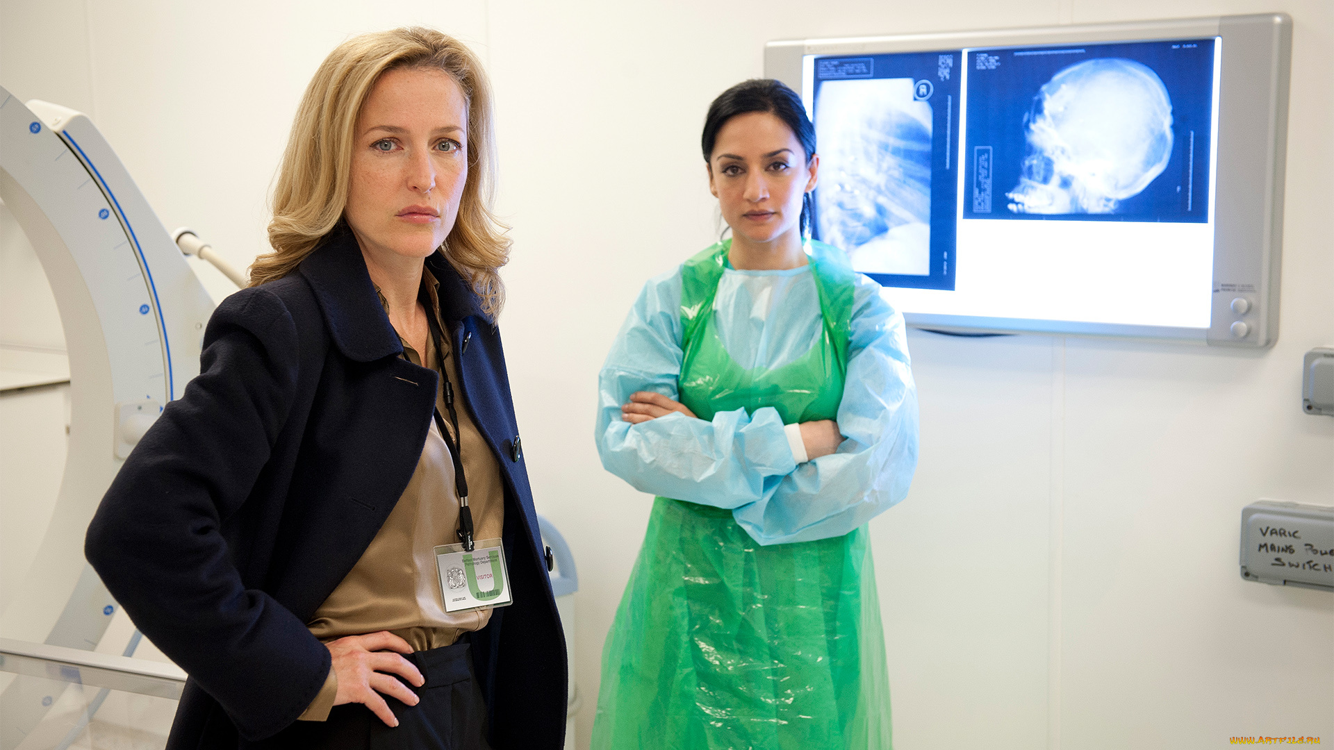 кино, фильмы, the, fall, , сериал, the, fall