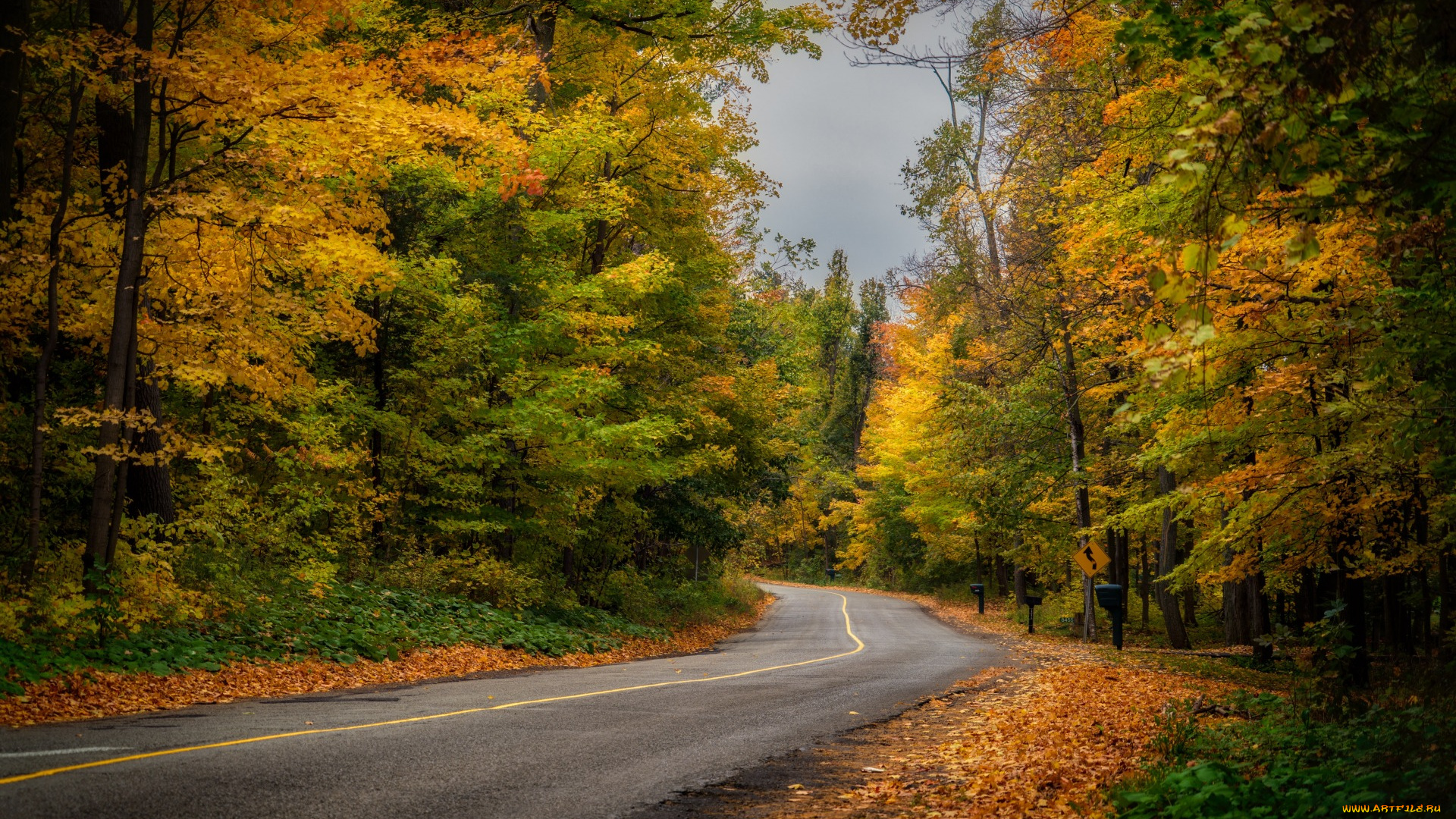 природа, дороги, лес, осень, дорога