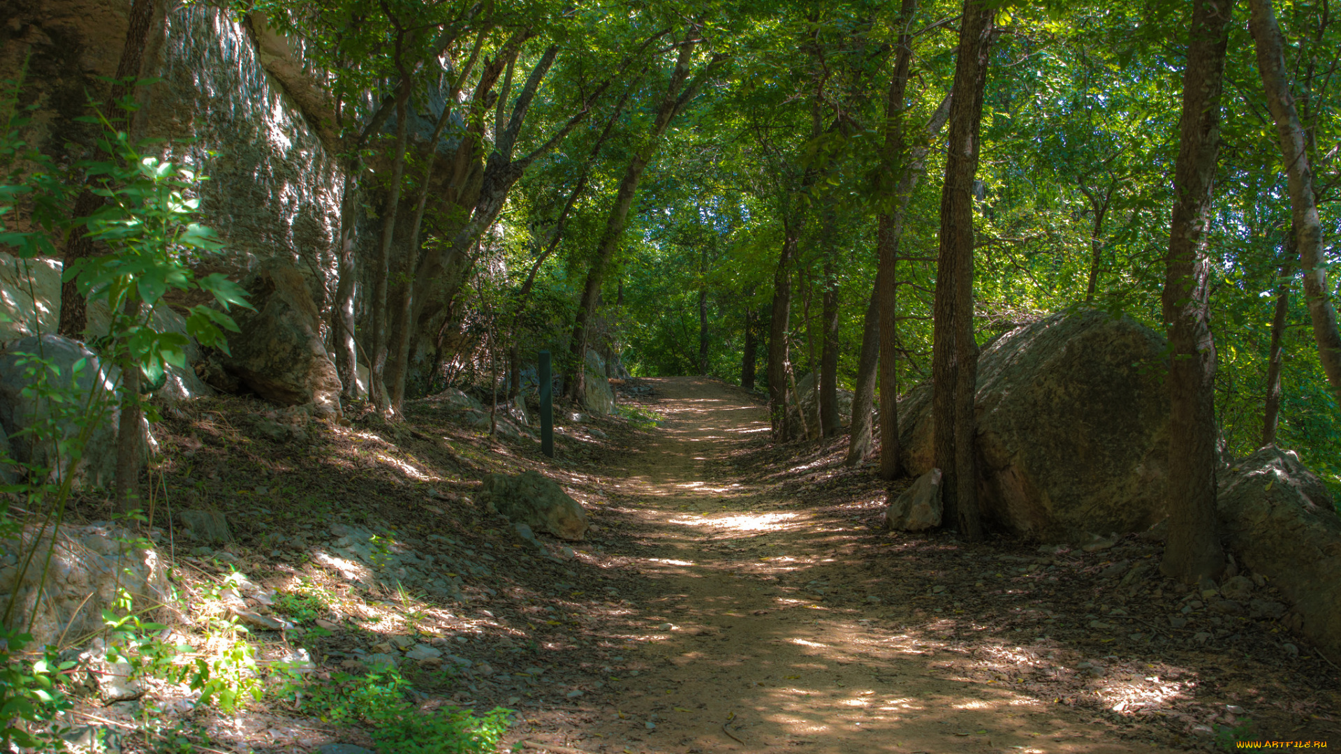 природа, дороги, простор