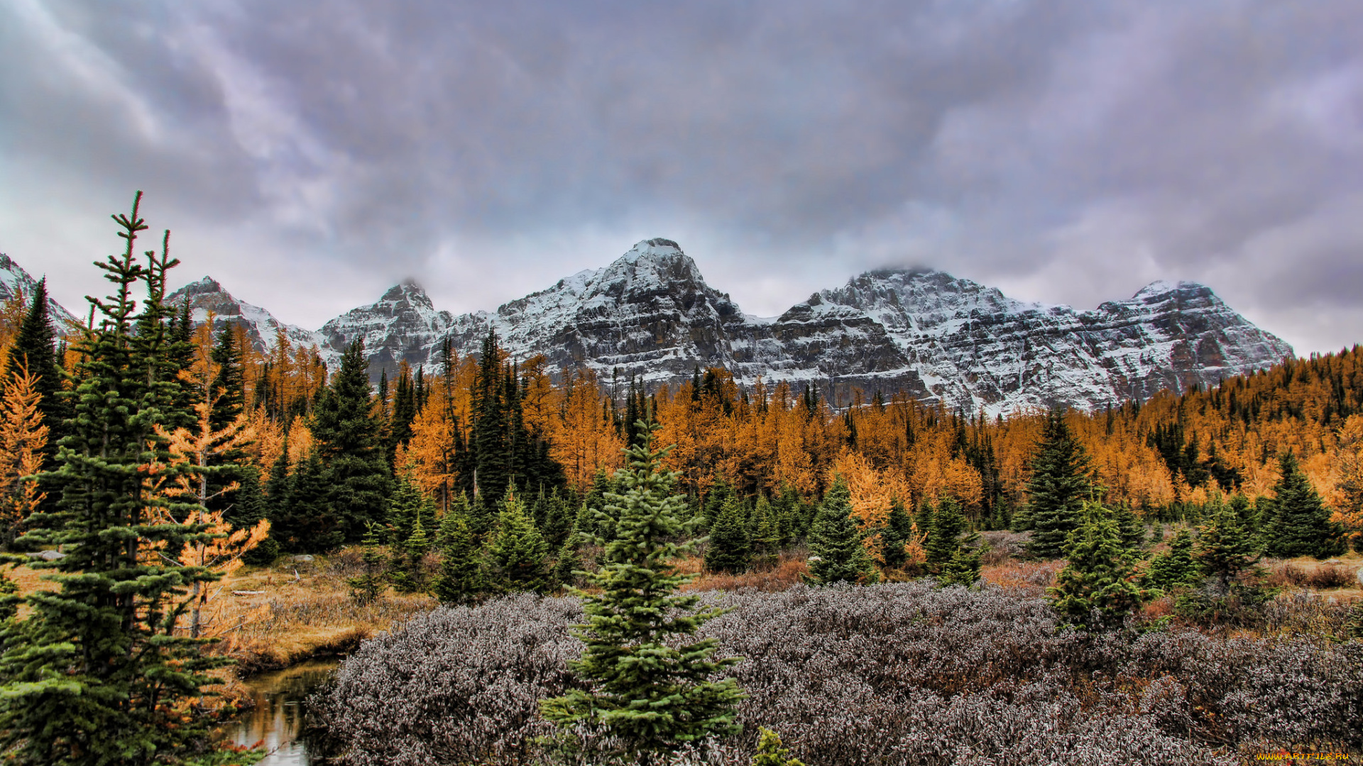 природа, горы, простор